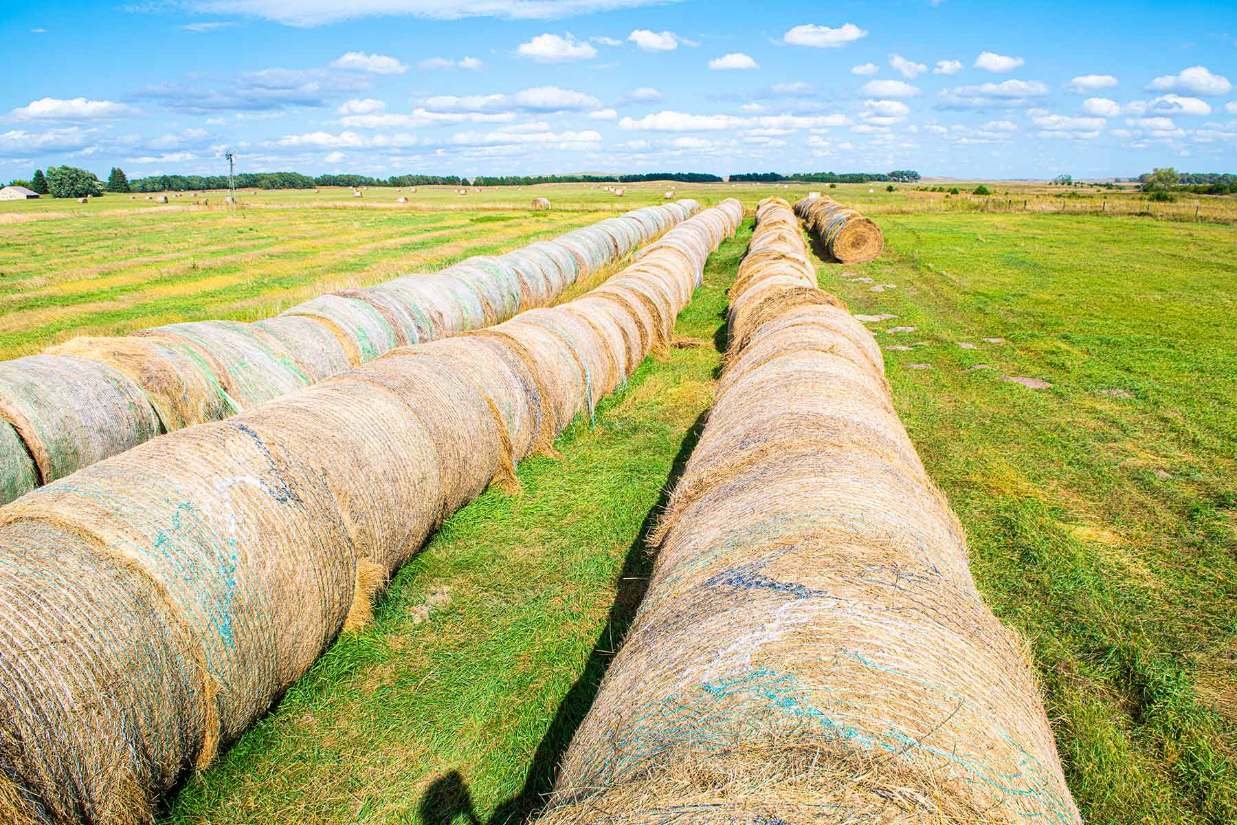 North Loup River Ranch property picture 50 of 99