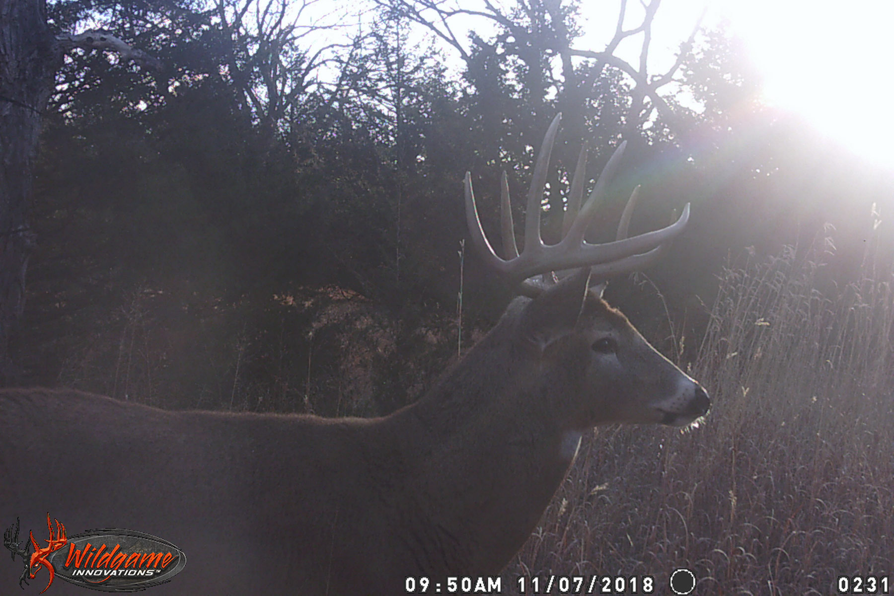 North Loup River Ranch property picture 98 of 99