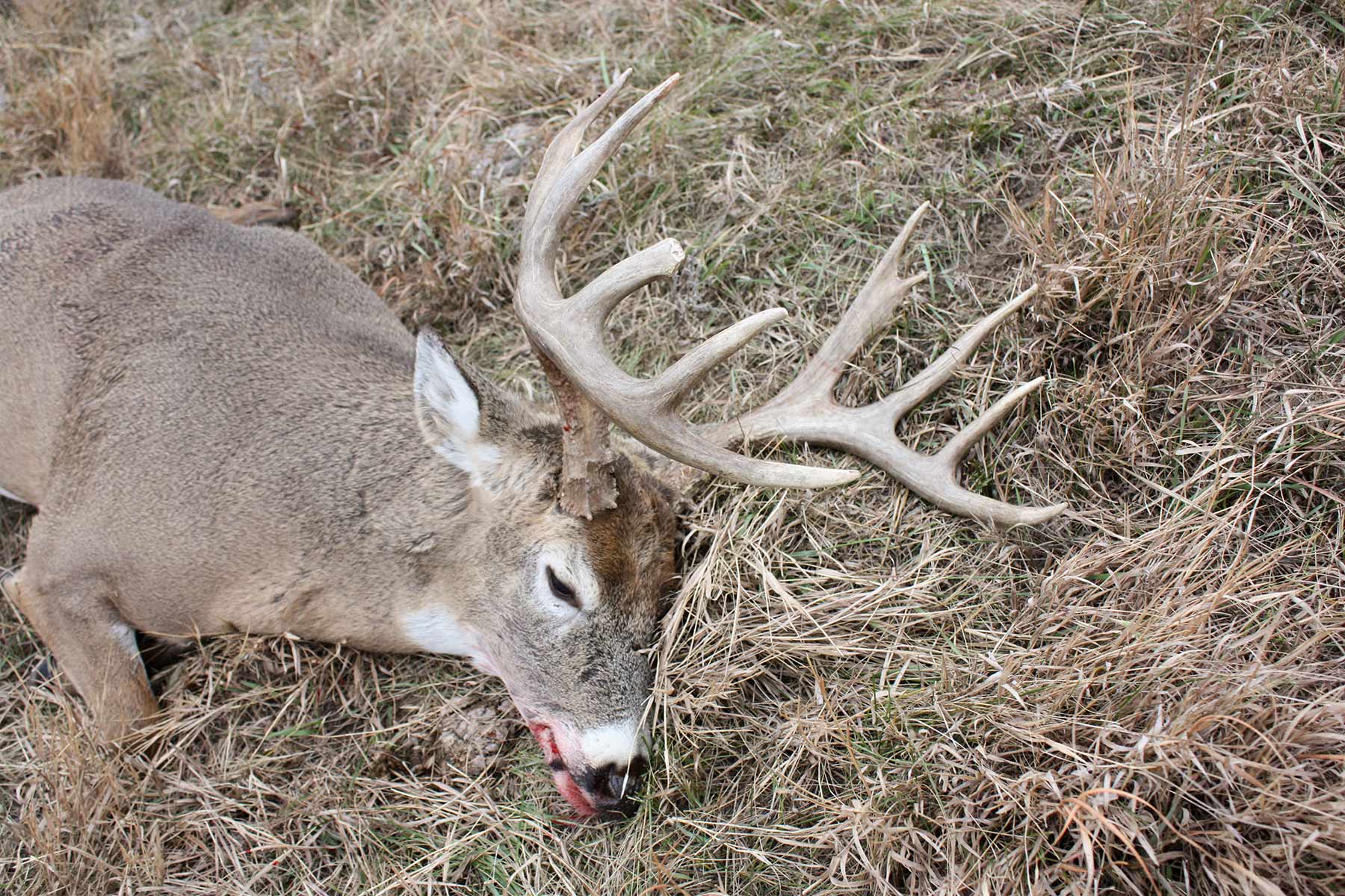 North Loup River Ranch property picture 92 of 99