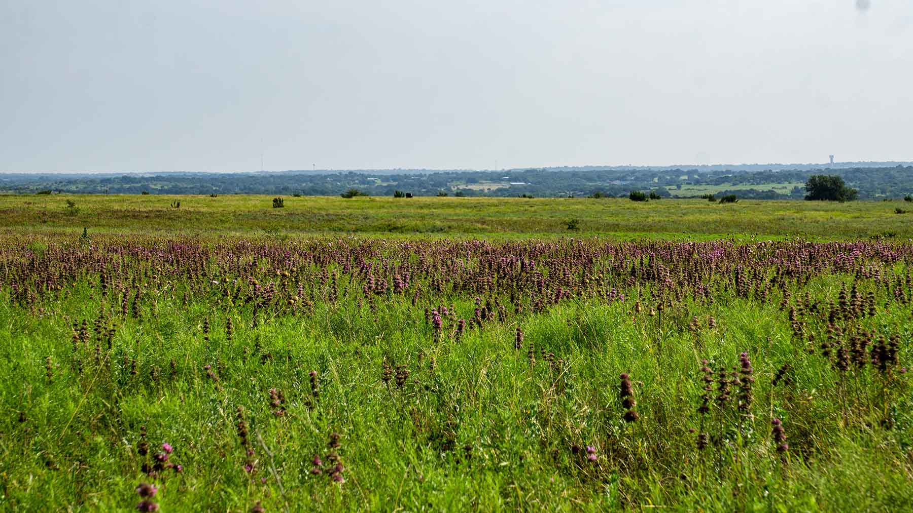 River Bluff Ranch Headquarters property picture 83 of 95