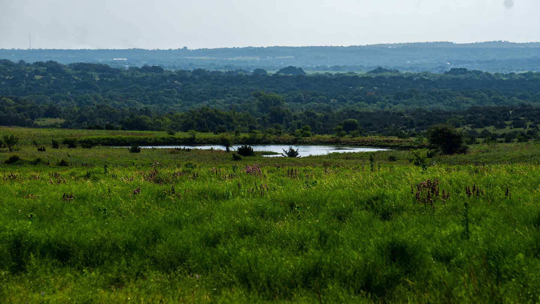 River Bluff Ranch Headquarters property picture 86 of 95