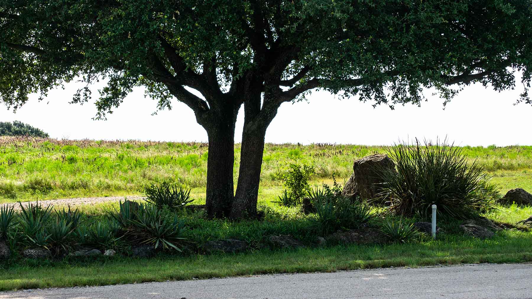 River Bluff Ranch Headquarters property picture 92 of 95