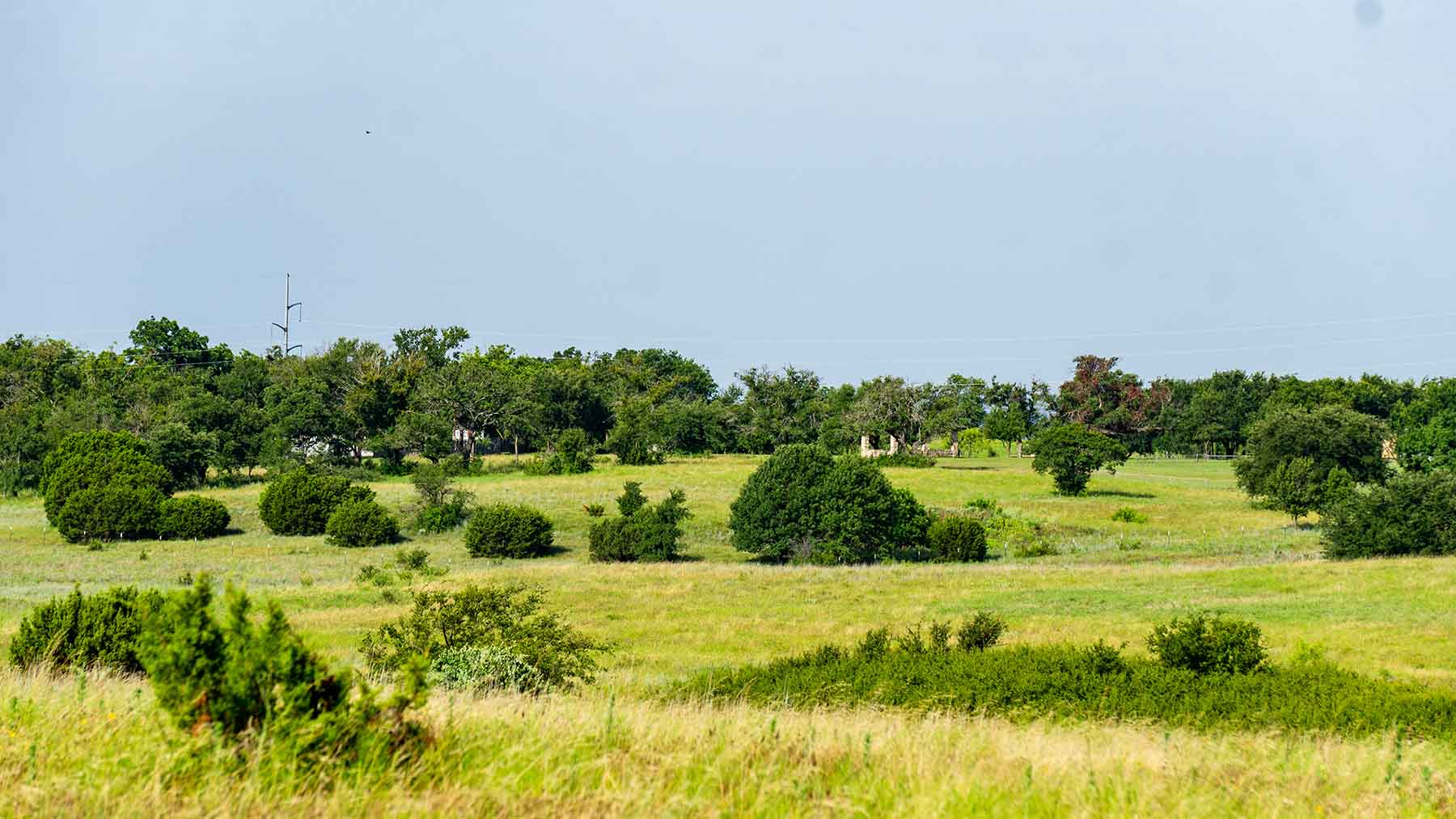 River Bluff Ranch Headquarters property picture 84 of 95