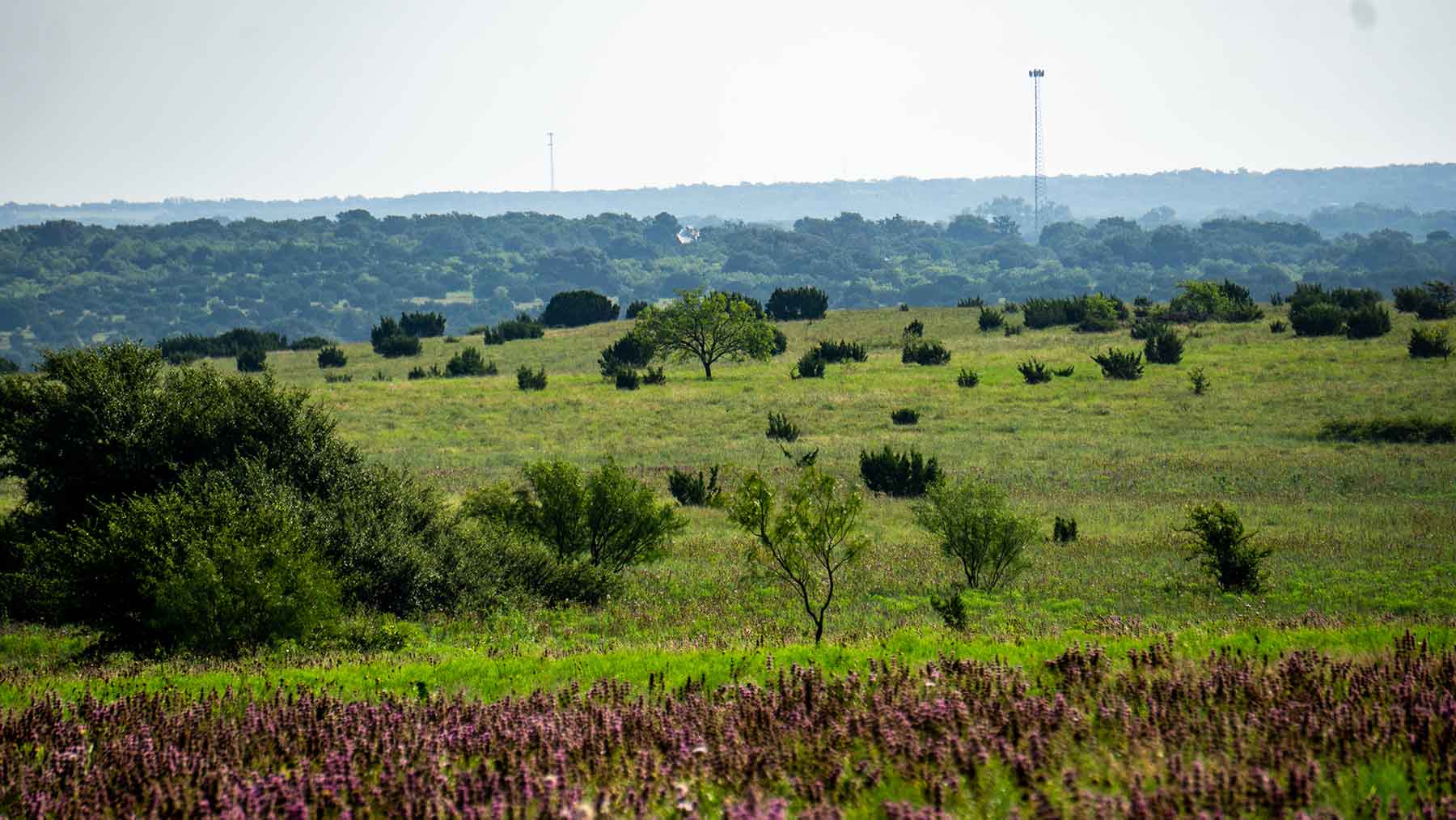 River Bluff Ranch Headquarters property picture 82 of 95
