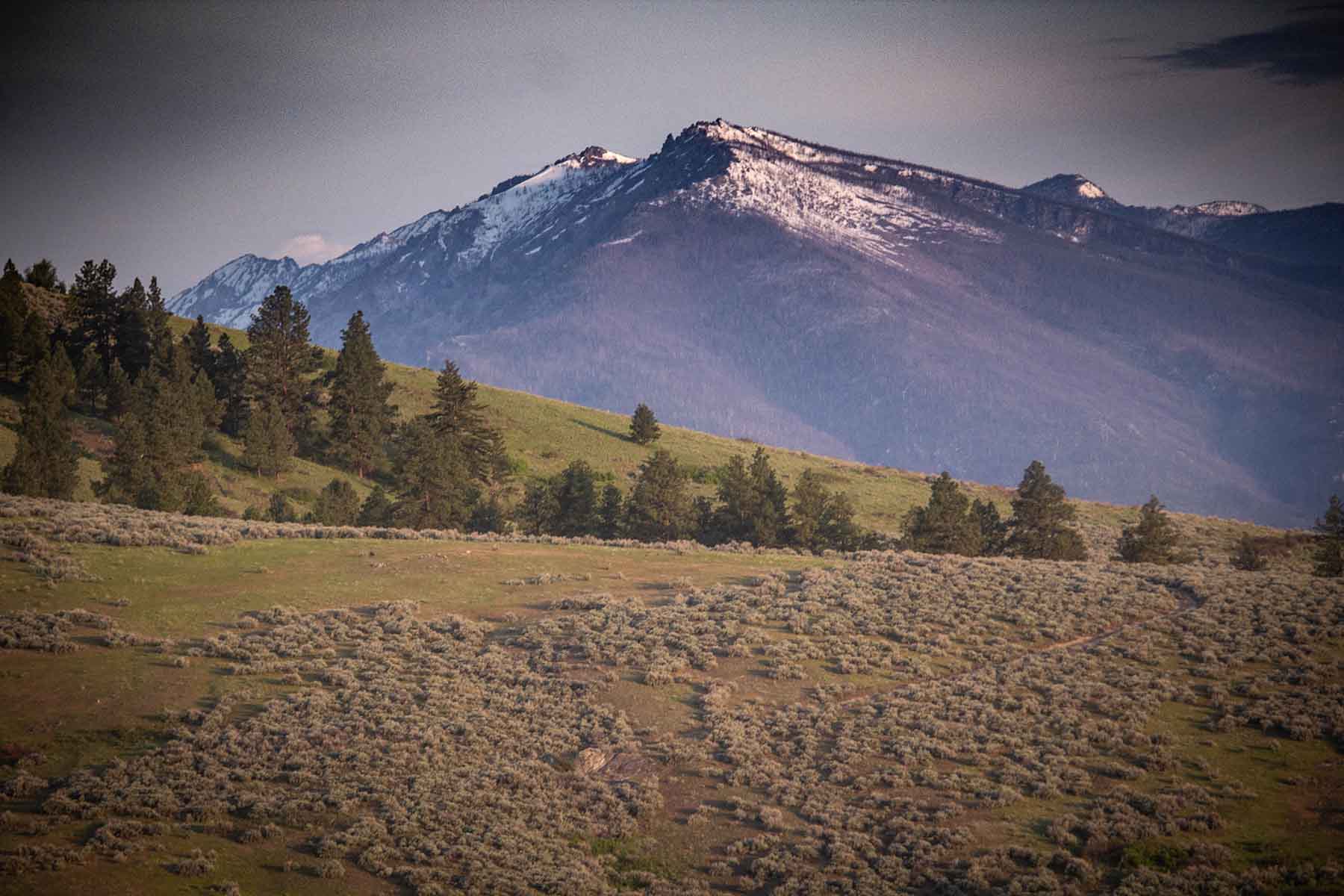 Bitterroot Elk Haven property picture 23 of 44