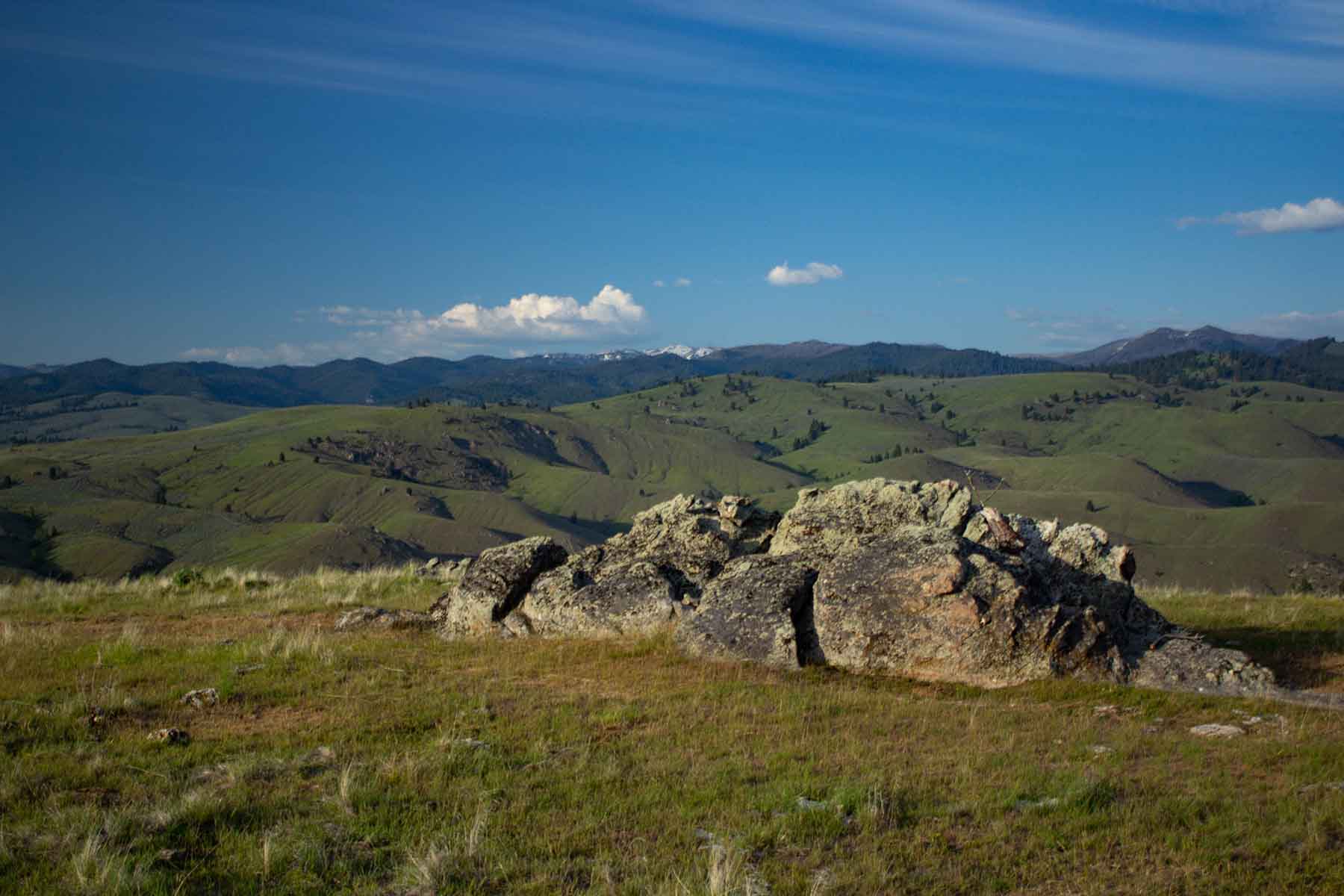 Bitterroot Elk Haven property picture 4 of 44