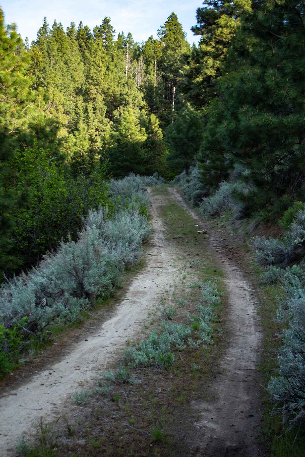Bitterroot Elk Haven property picture 34 of 44