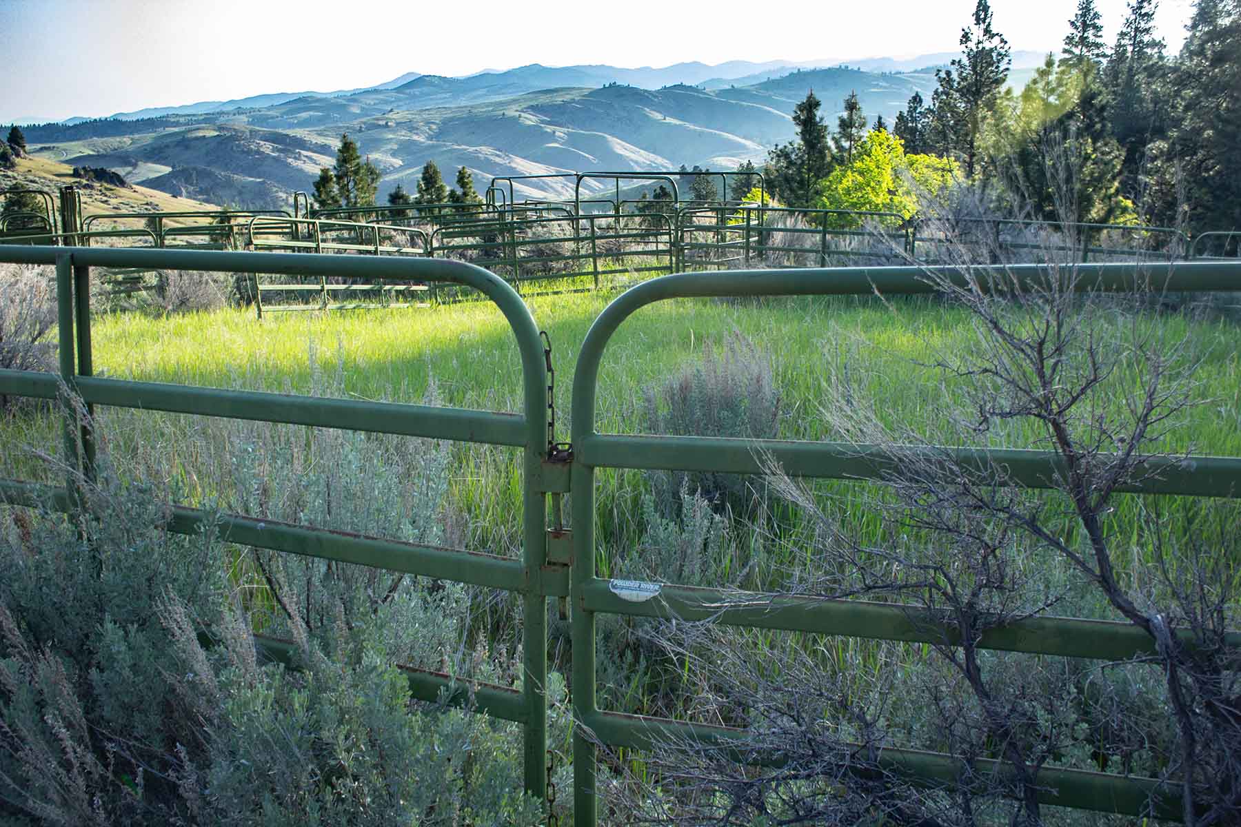 Bitterroot Elk Haven property picture 35 of 44