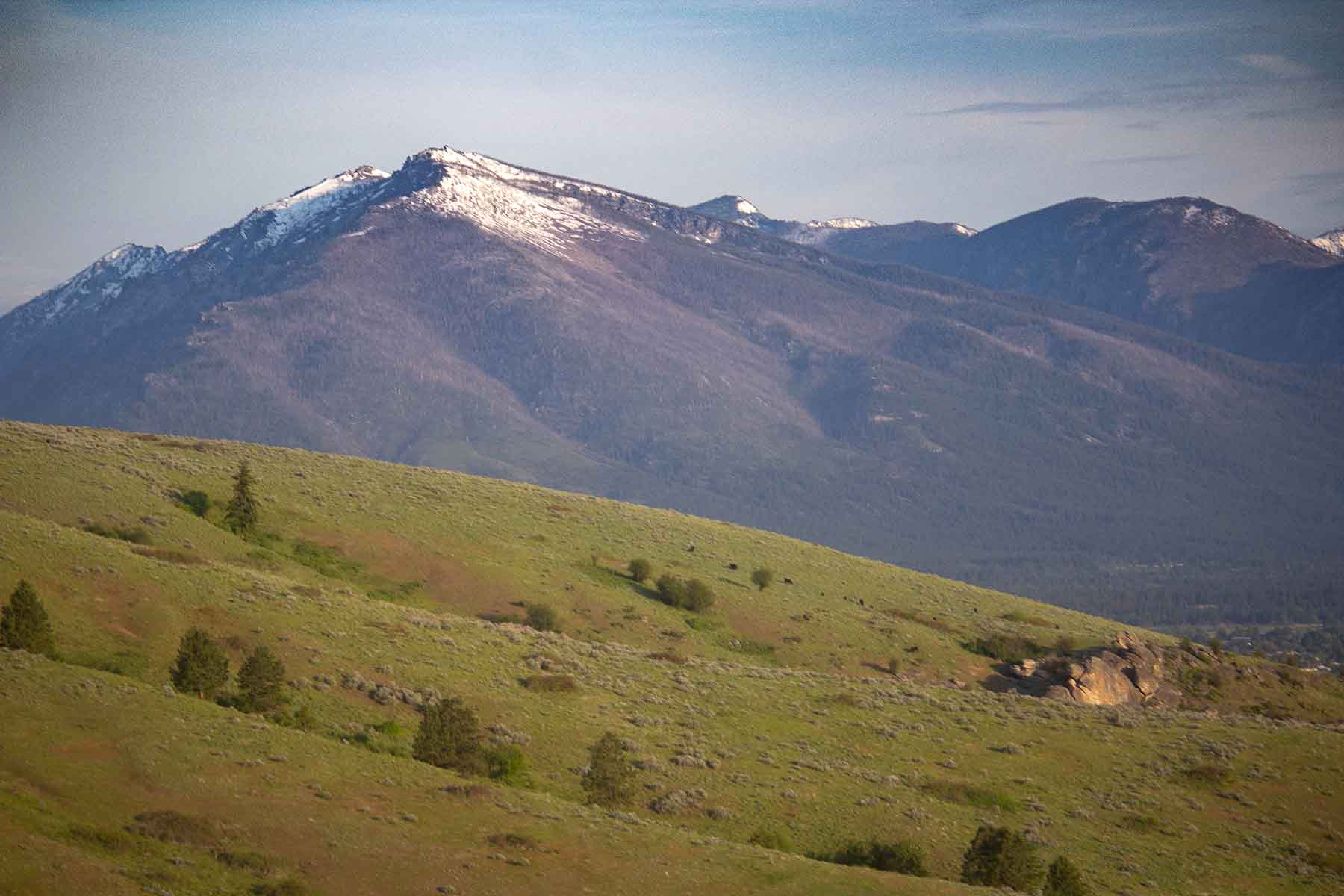 Bitterroot Elk Haven property picture 26 of 44