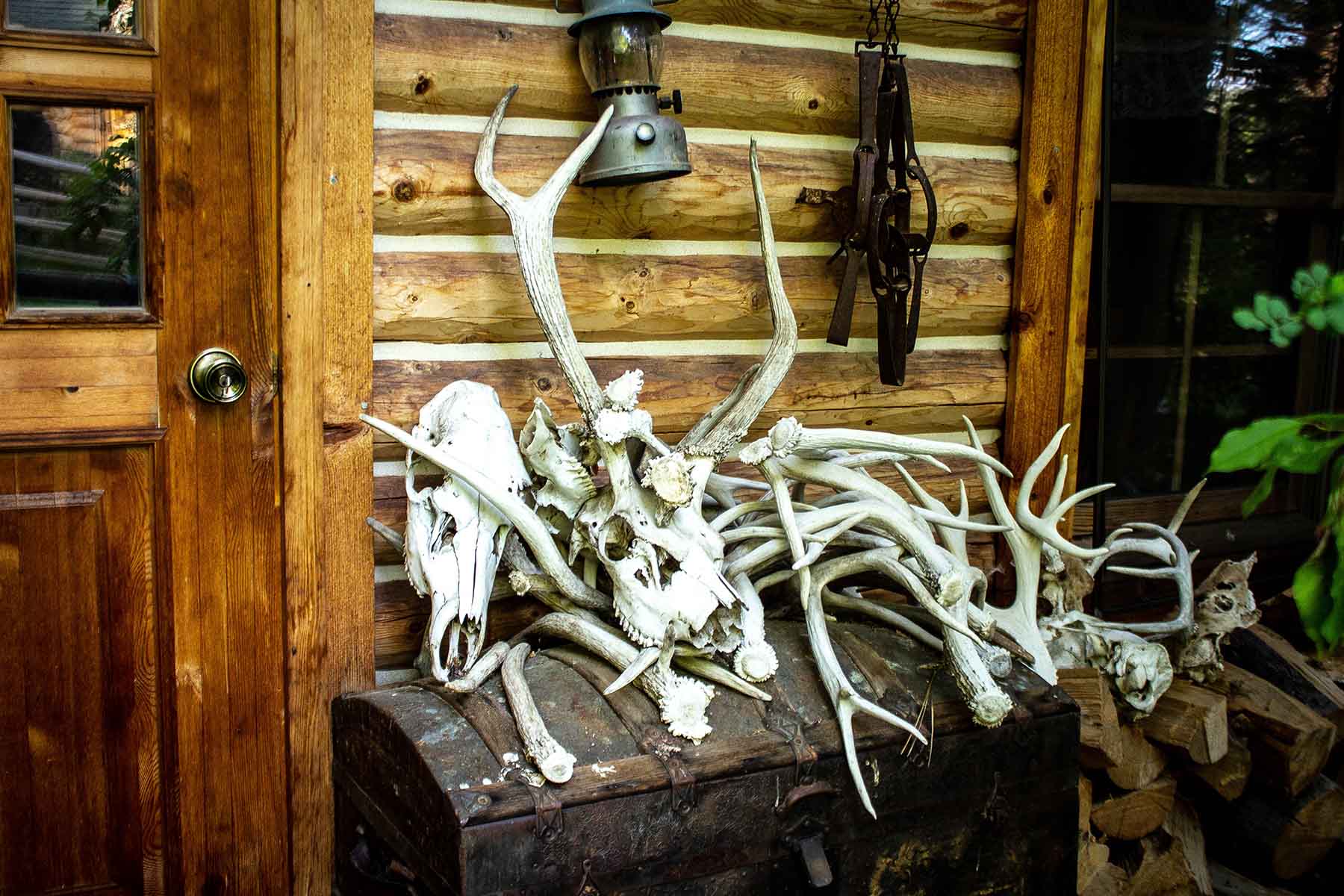 Bitterroot Elk Haven property picture 10 of 44