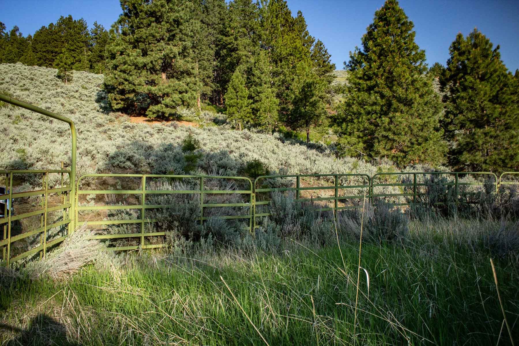 Bitterroot Elk Haven property picture 36 of 44