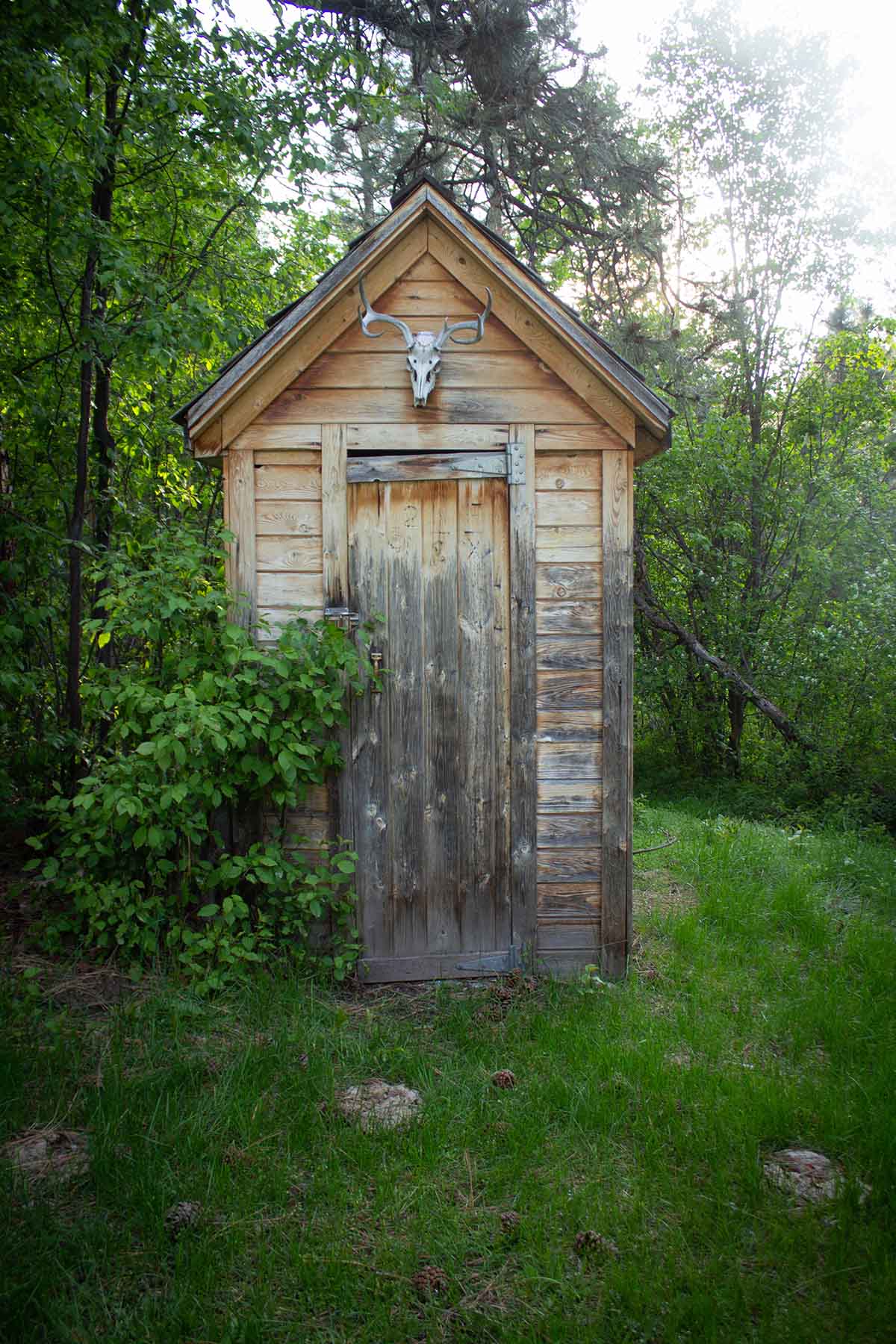 Bitterroot Elk Haven property picture 43 of 44