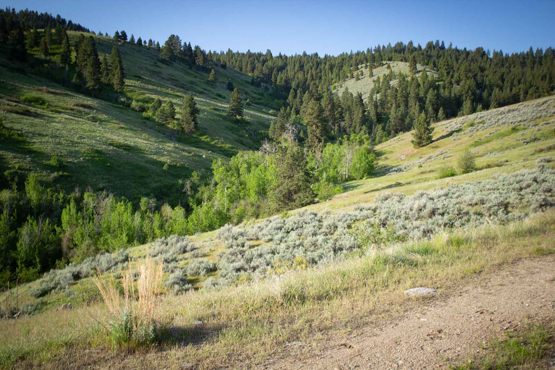 Bitterroot Elk Haven property picture 31 of 44
