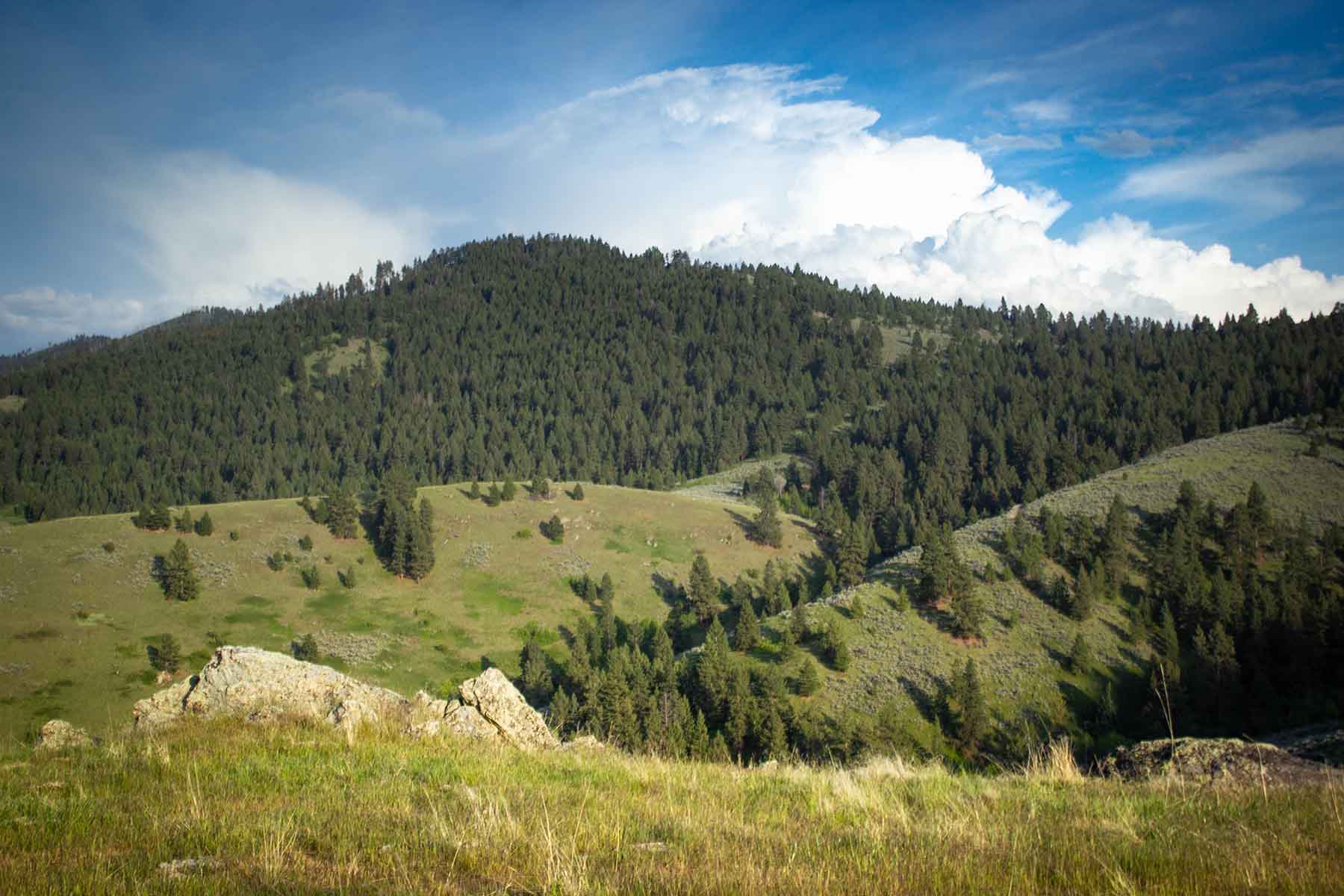 Bitterroot Elk Haven property picture 15 of 44