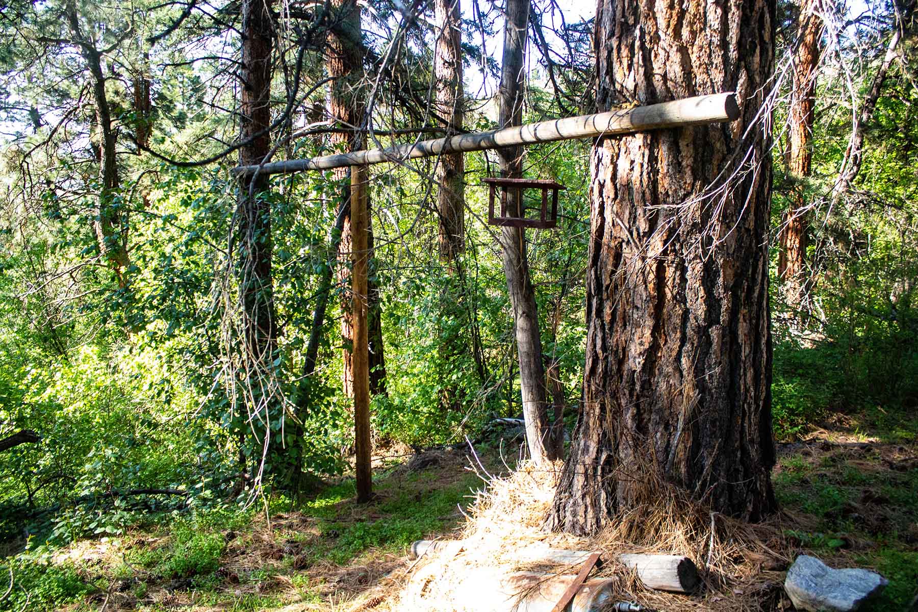 Bitterroot Elk Haven property picture 44 of 44