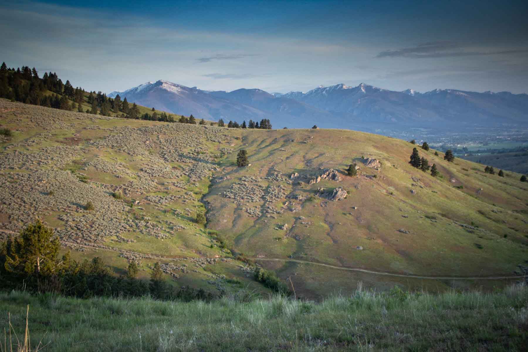 Bitterroot Elk Haven property picture 21 of 44