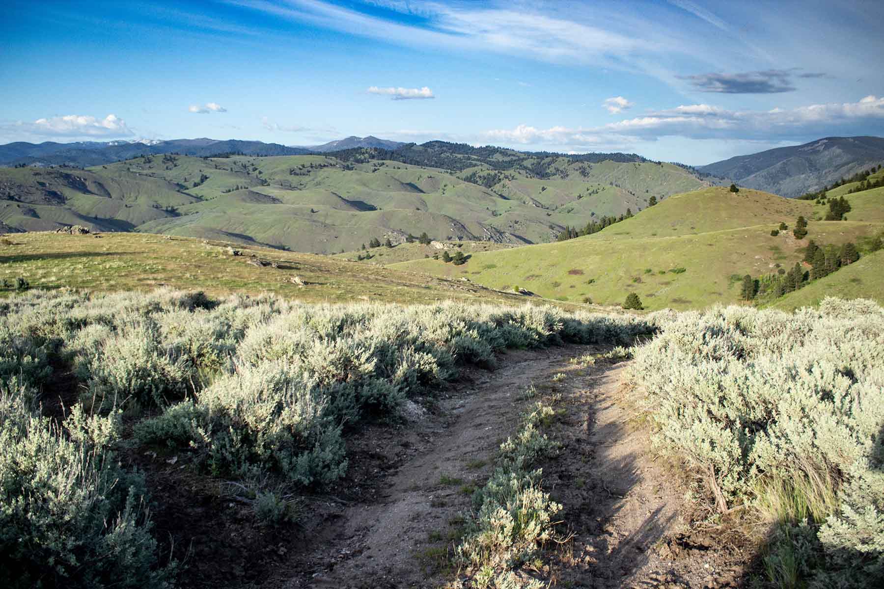 Bitterroot Elk Haven property picture 33 of 44