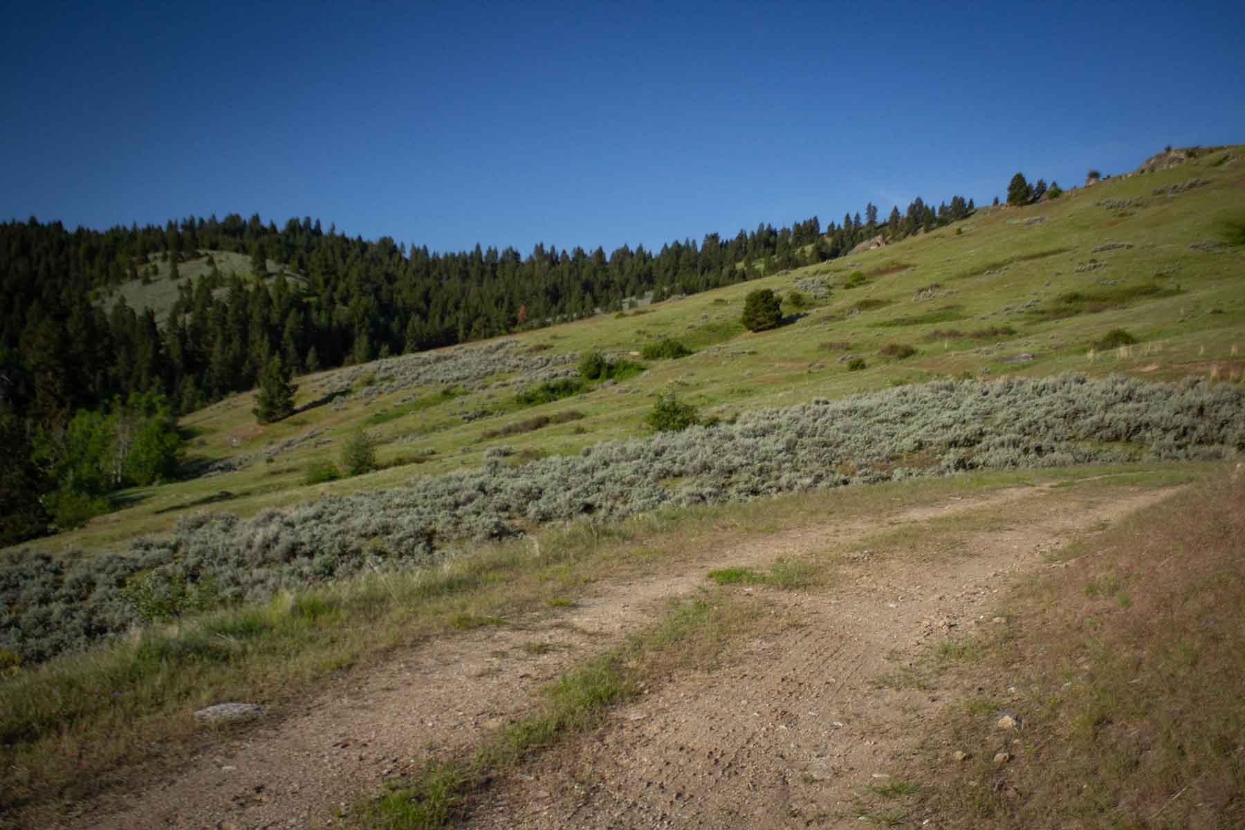 Bitterroot Elk Haven property picture 32 of 44