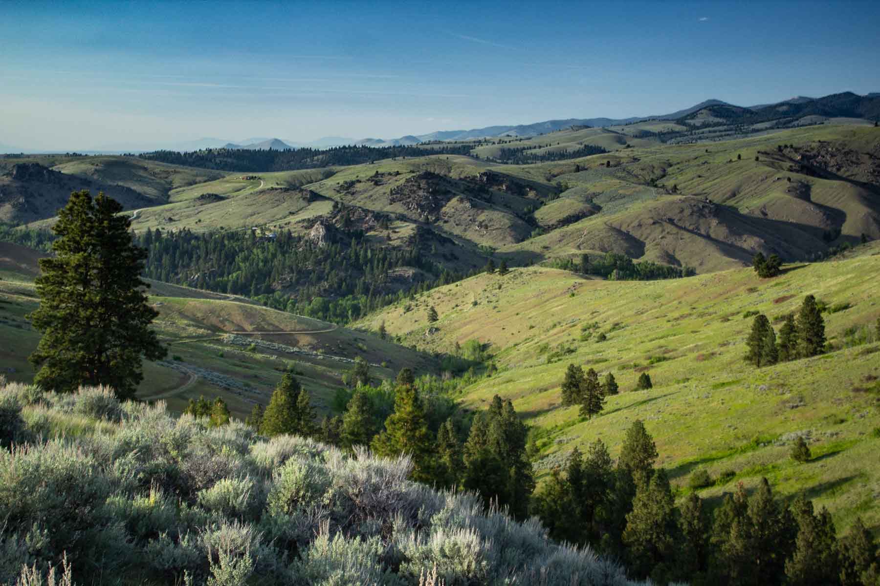 Bitterroot Elk Haven property picture 14 of 44
