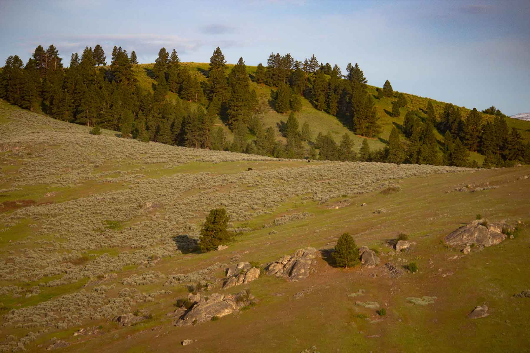 Bitterroot Elk Haven property picture 28 of 44