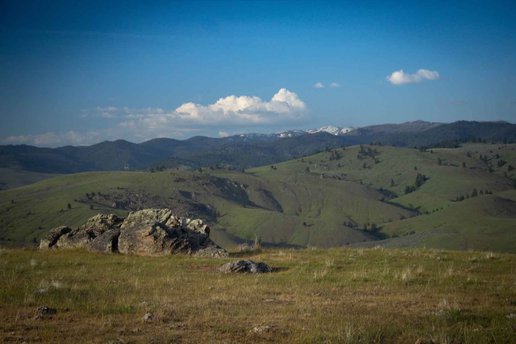 Bitterroot Elk Haven property picture 16 of 44