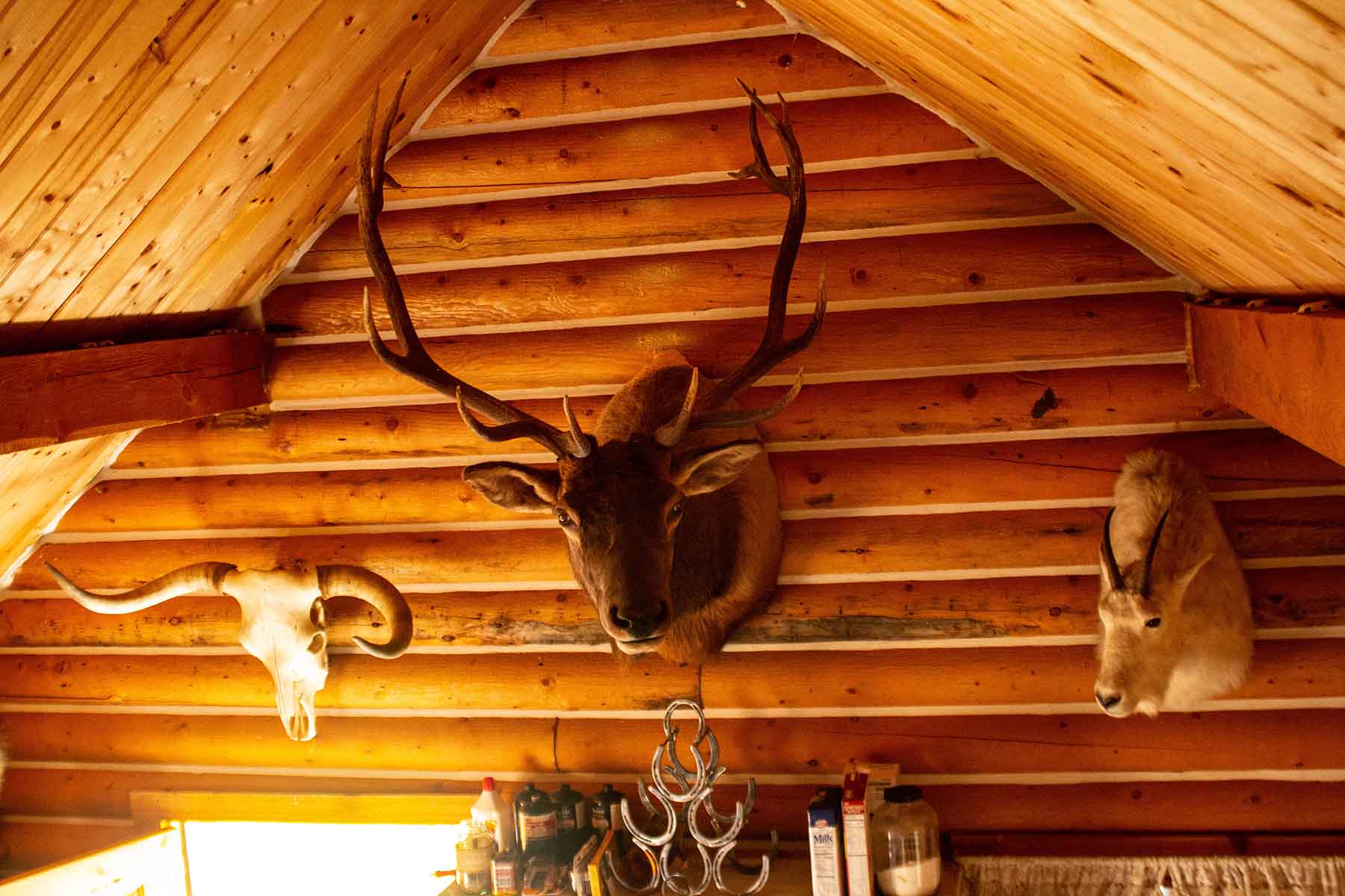 Bitterroot Elk Haven property picture 37 of 44