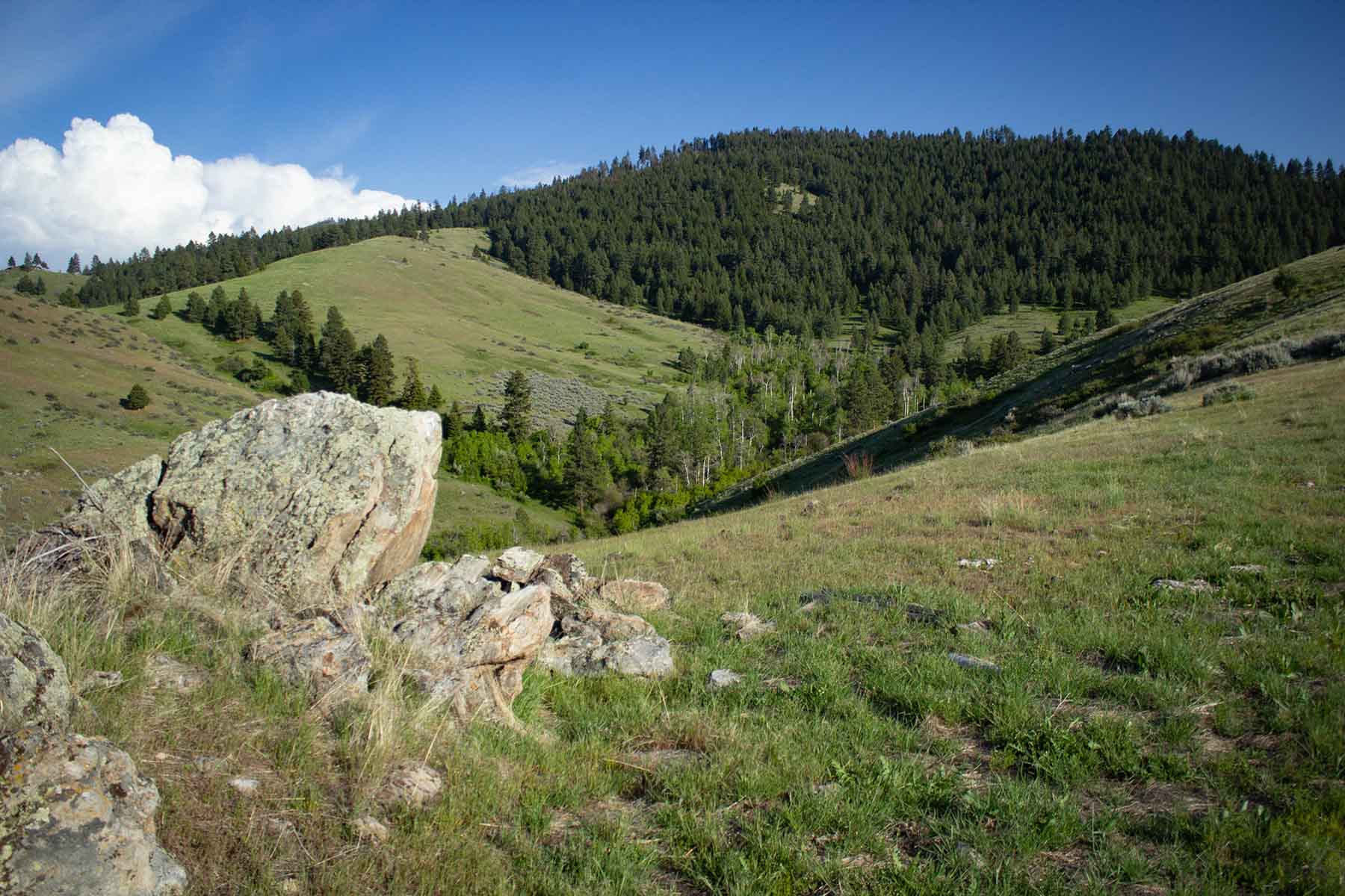 Bitterroot Elk Haven property picture 5 of 44