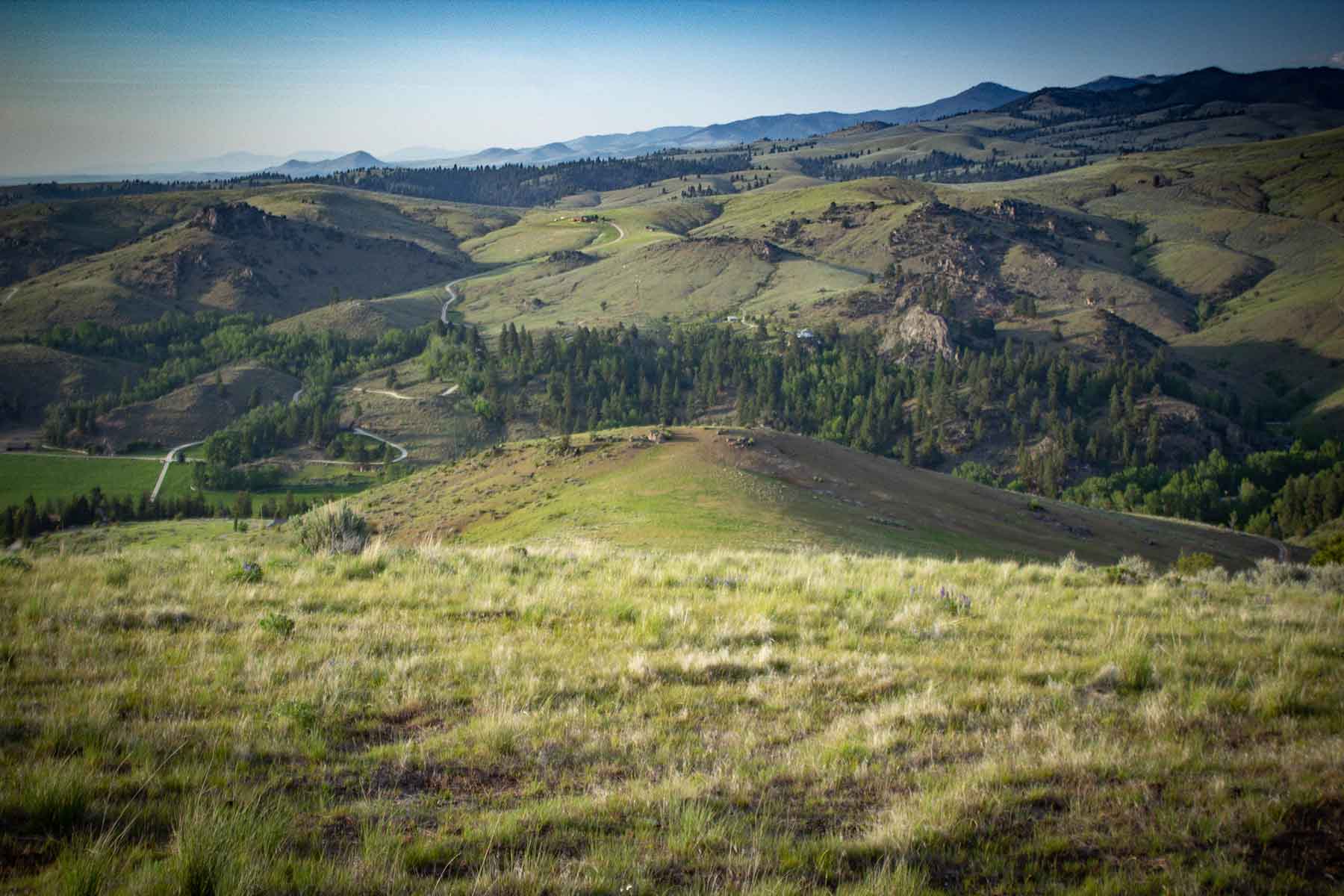 Bitterroot Elk Haven property picture 20 of 44