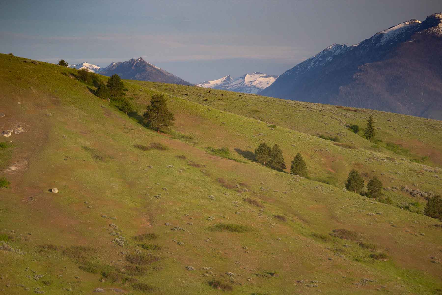 Bitterroot Elk Haven property picture 27 of 44