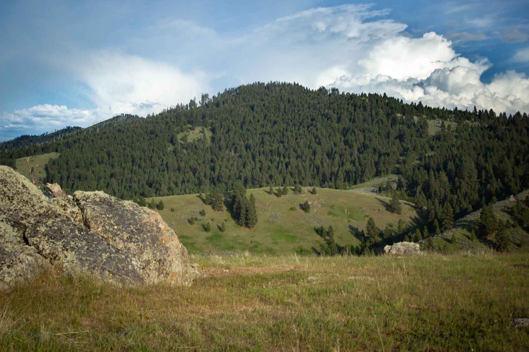 Bitterroot Elk Haven property picture 17 of 44