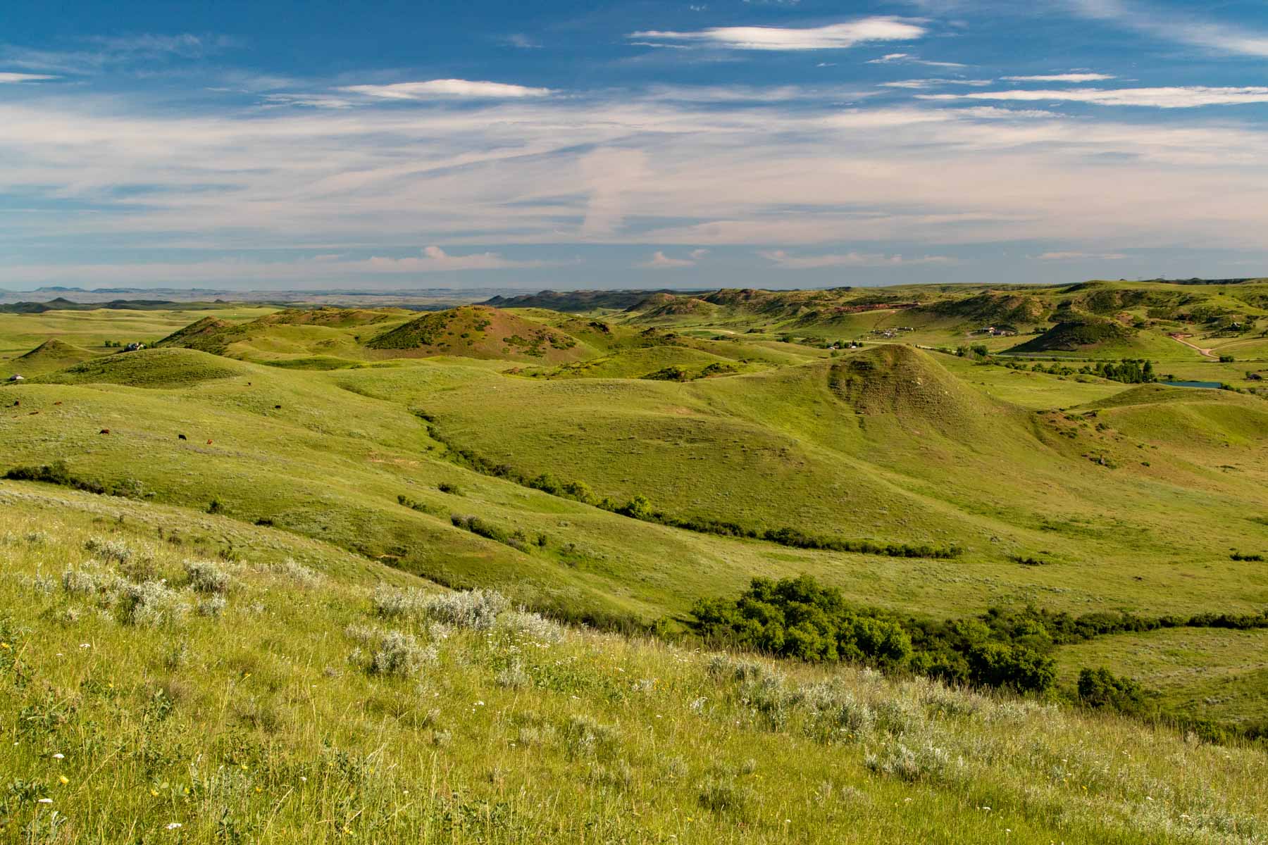 Prairie Dog Creek Hall and Hall