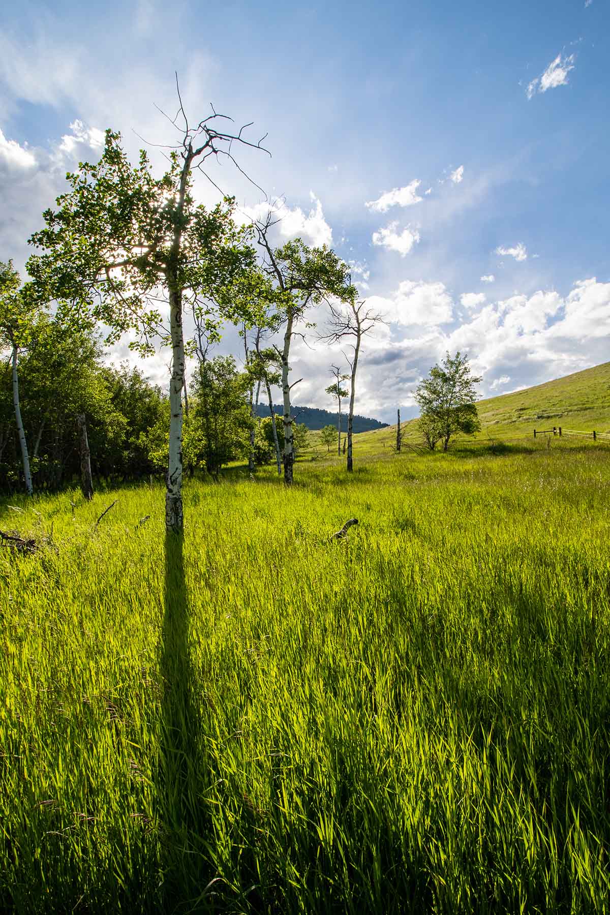 LEK Ranch property picture 30 of 46