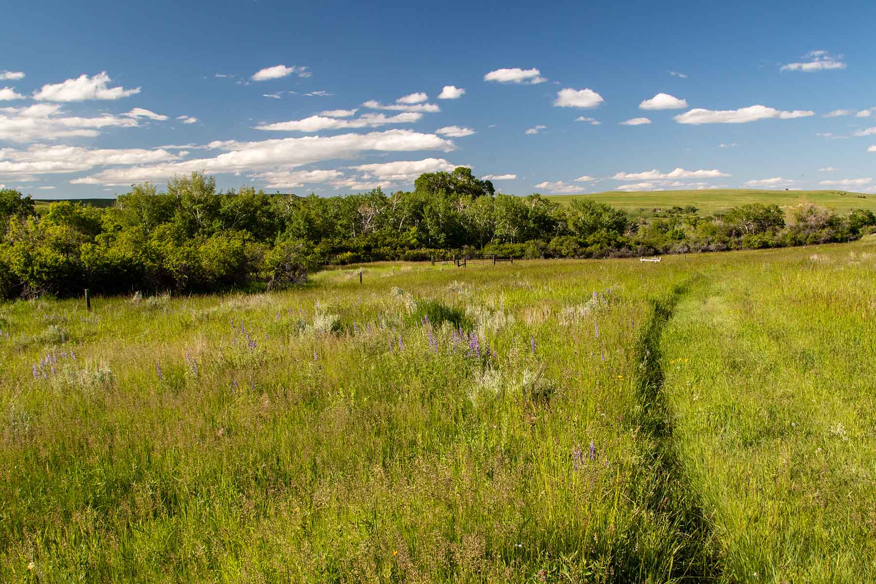 LEK Ranch property picture 46 of 46