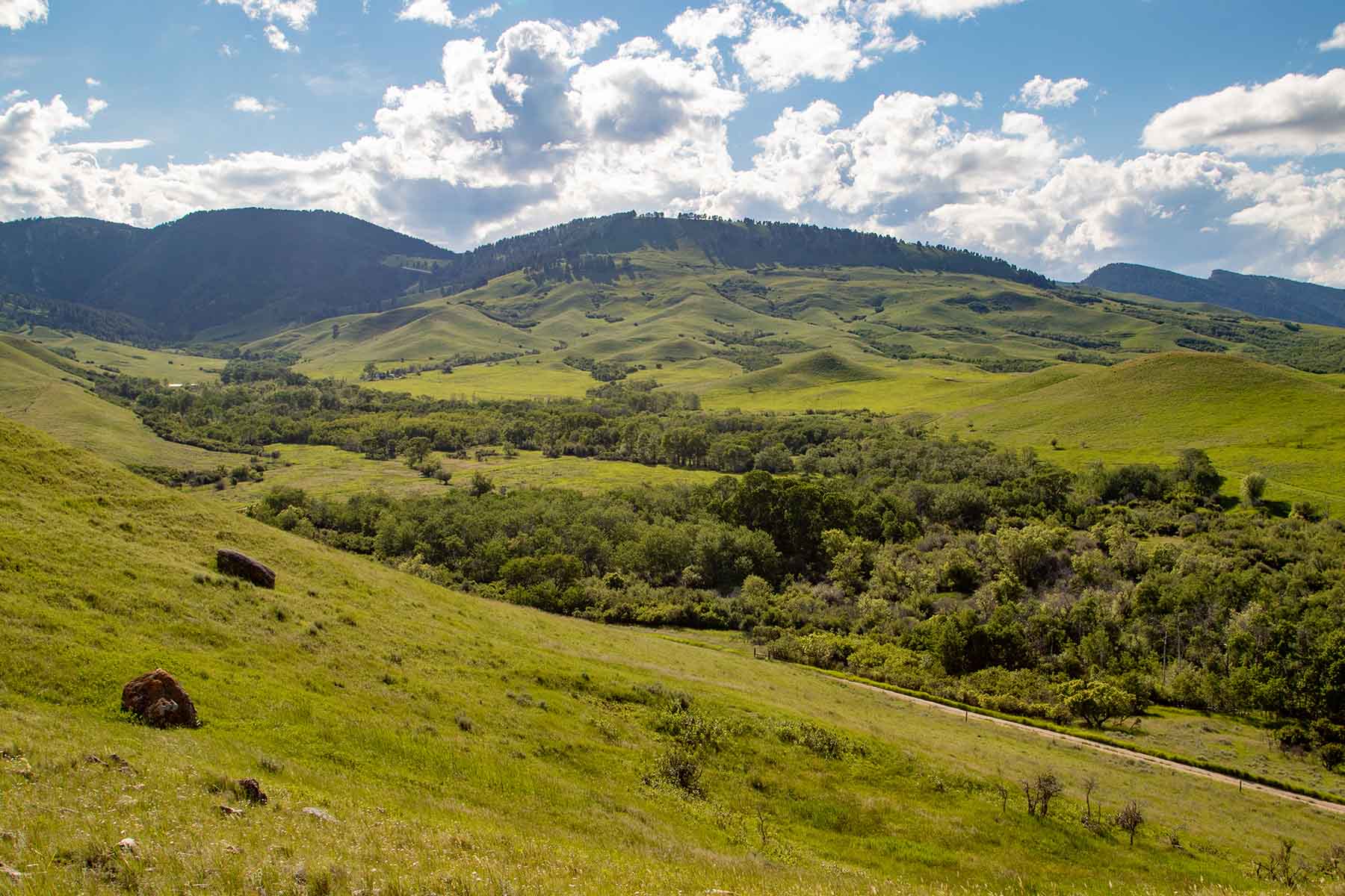 LEK Ranch property picture 4 of 46