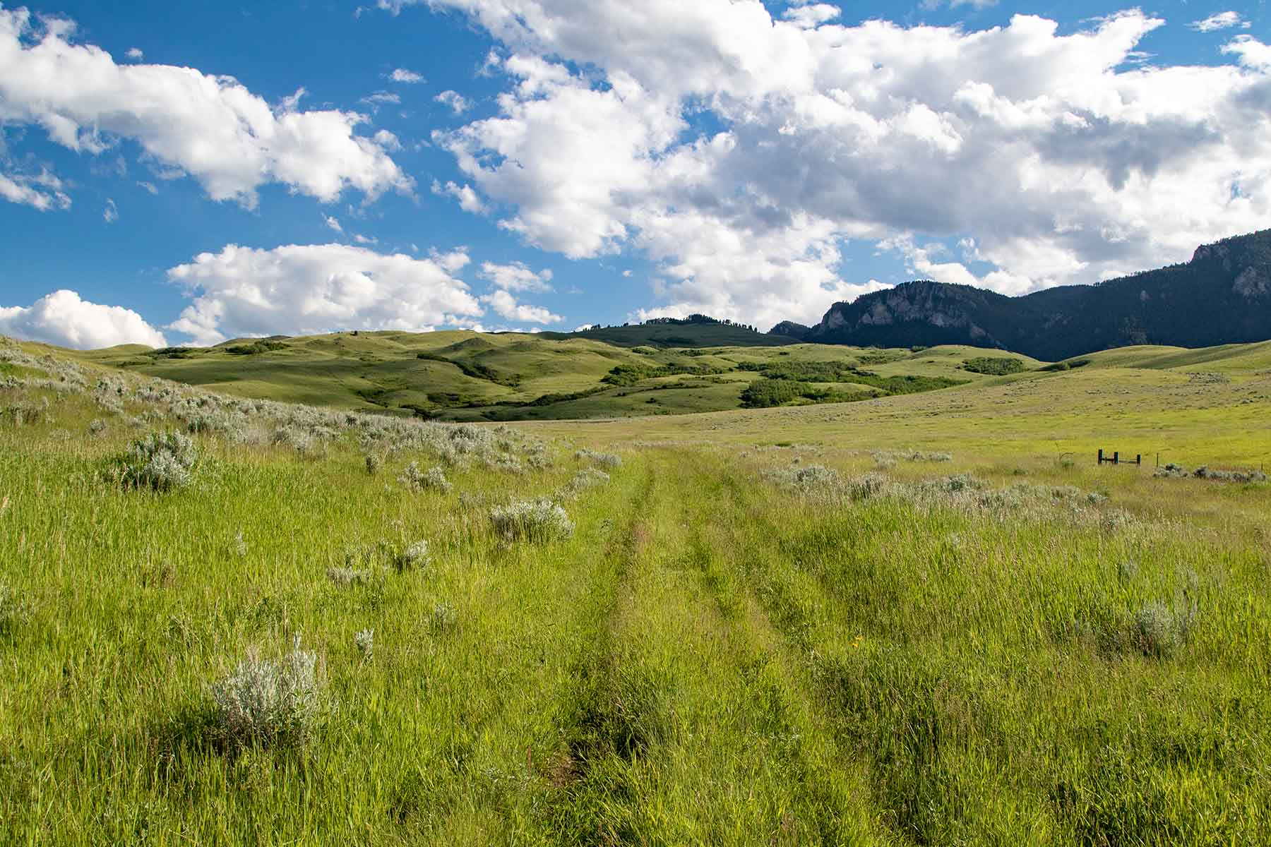 LEK Ranch property picture 33 of 46