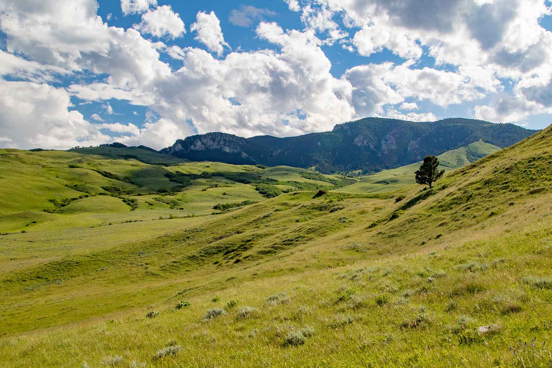 LEK Ranch property picture 31 of 46