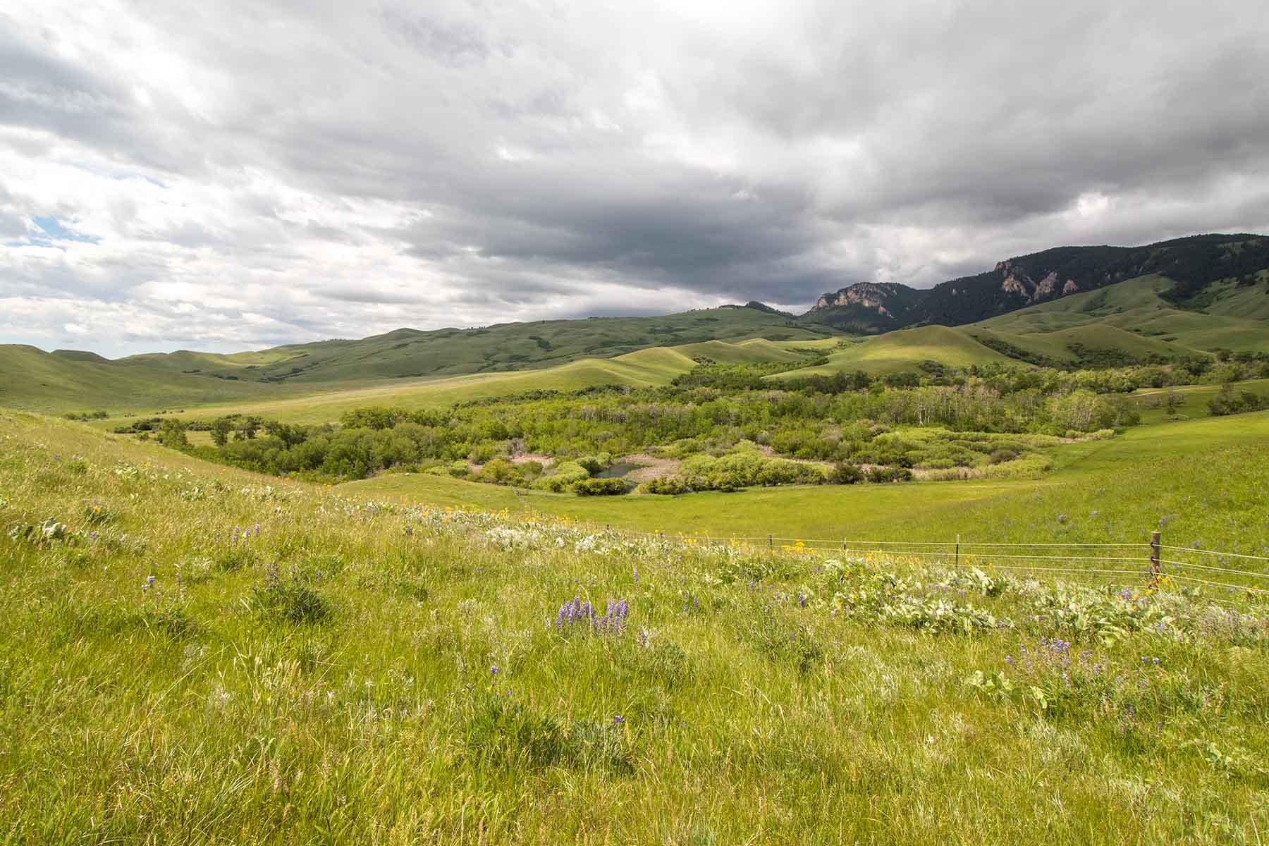 LEK Ranch property picture 36 of 46