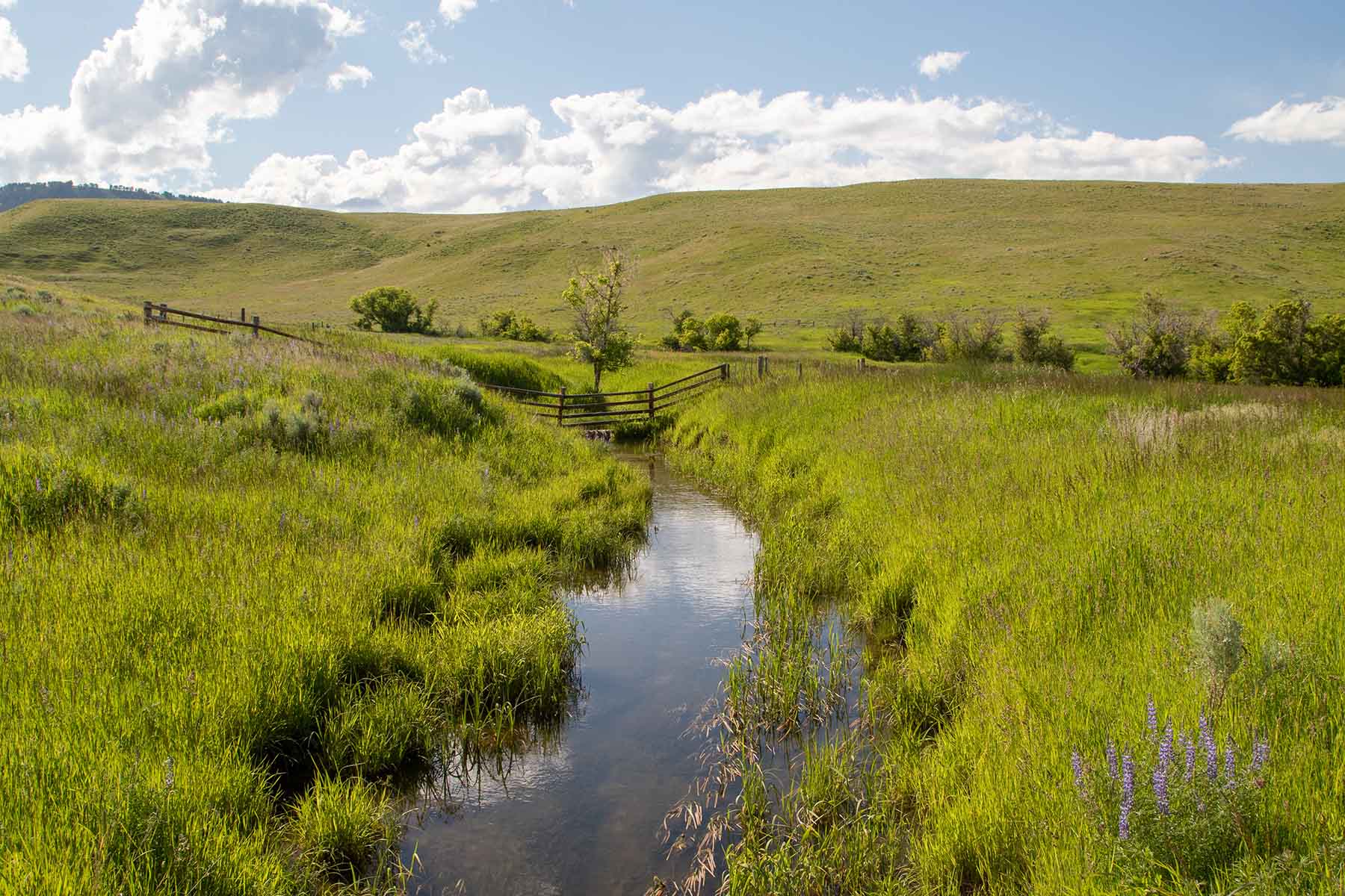 LEK Ranch property picture 32 of 46