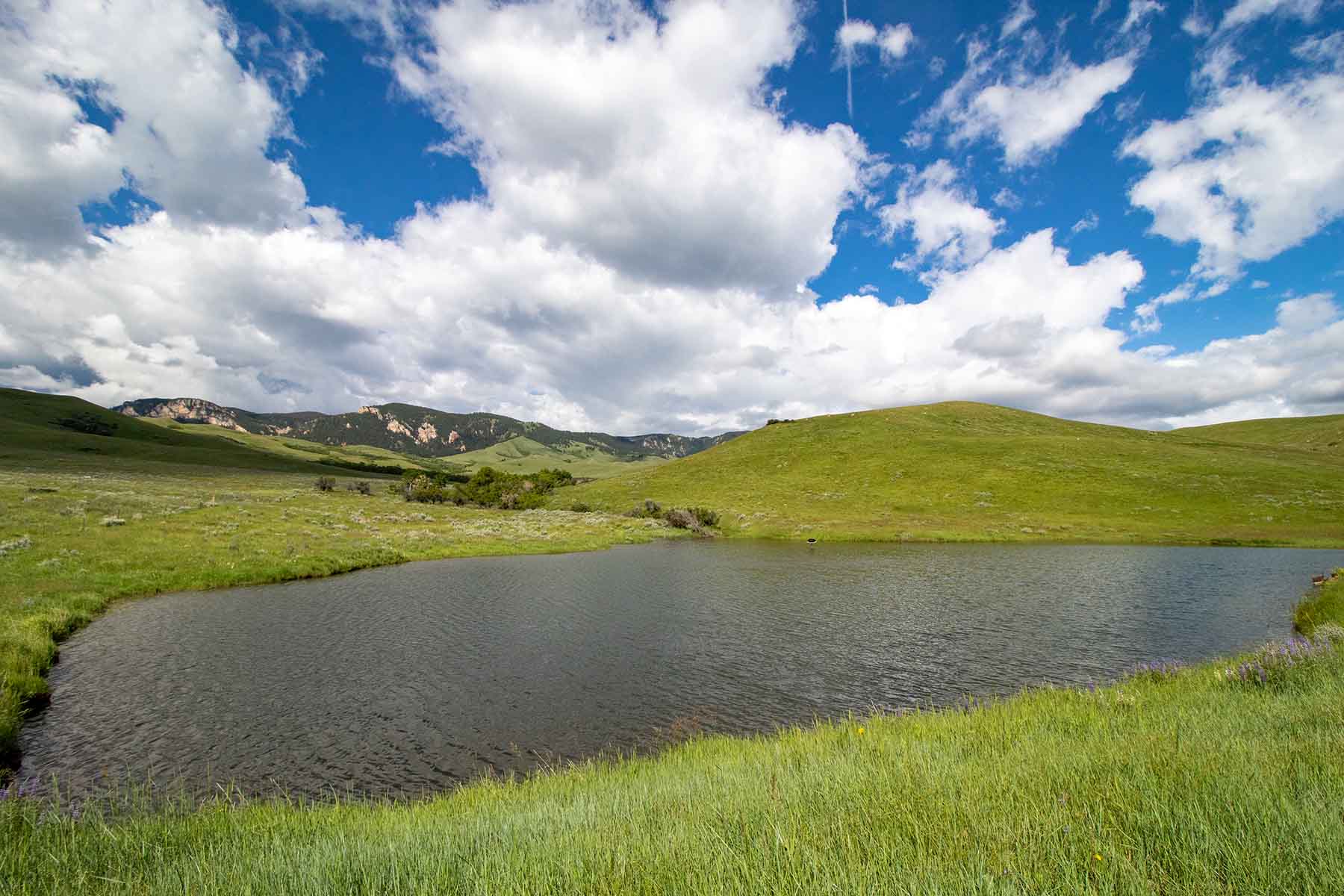 LEK Ranch property picture 29 of 46