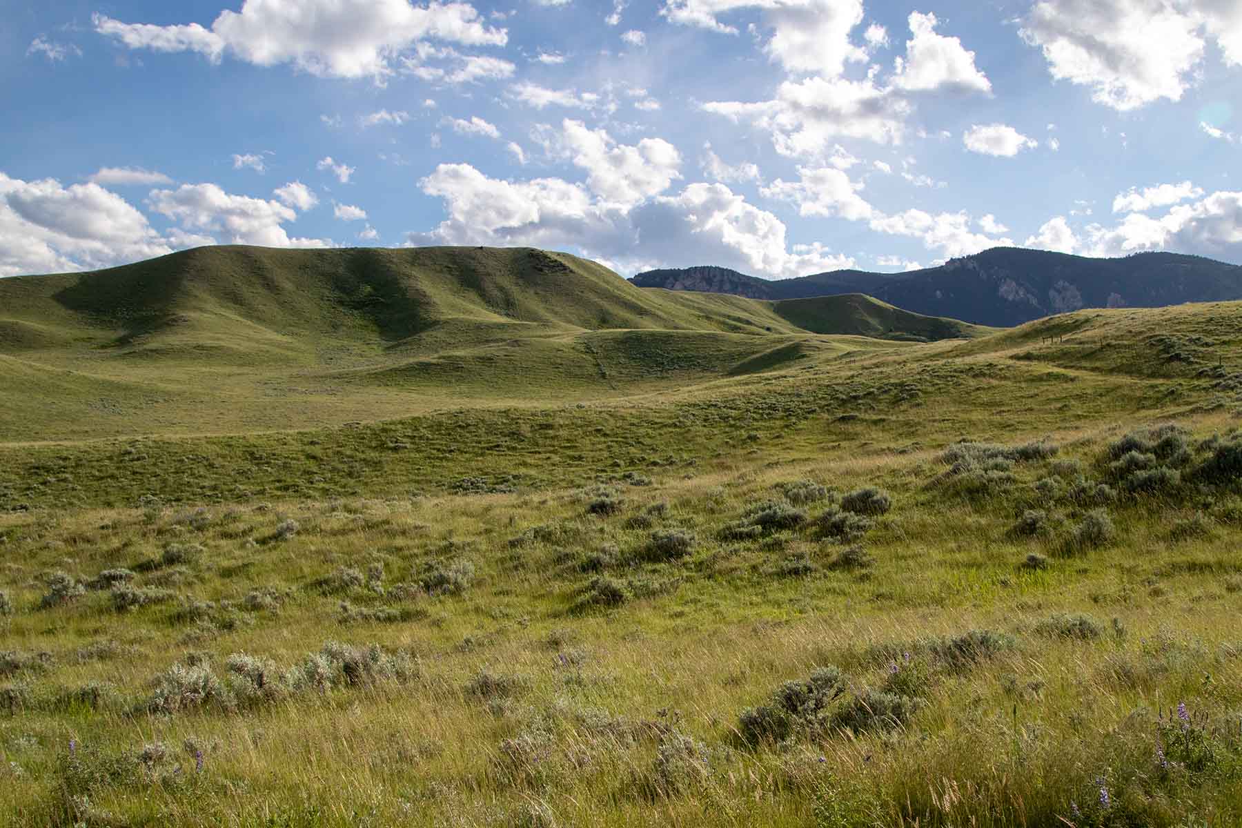 LEK Ranch property picture 39 of 46