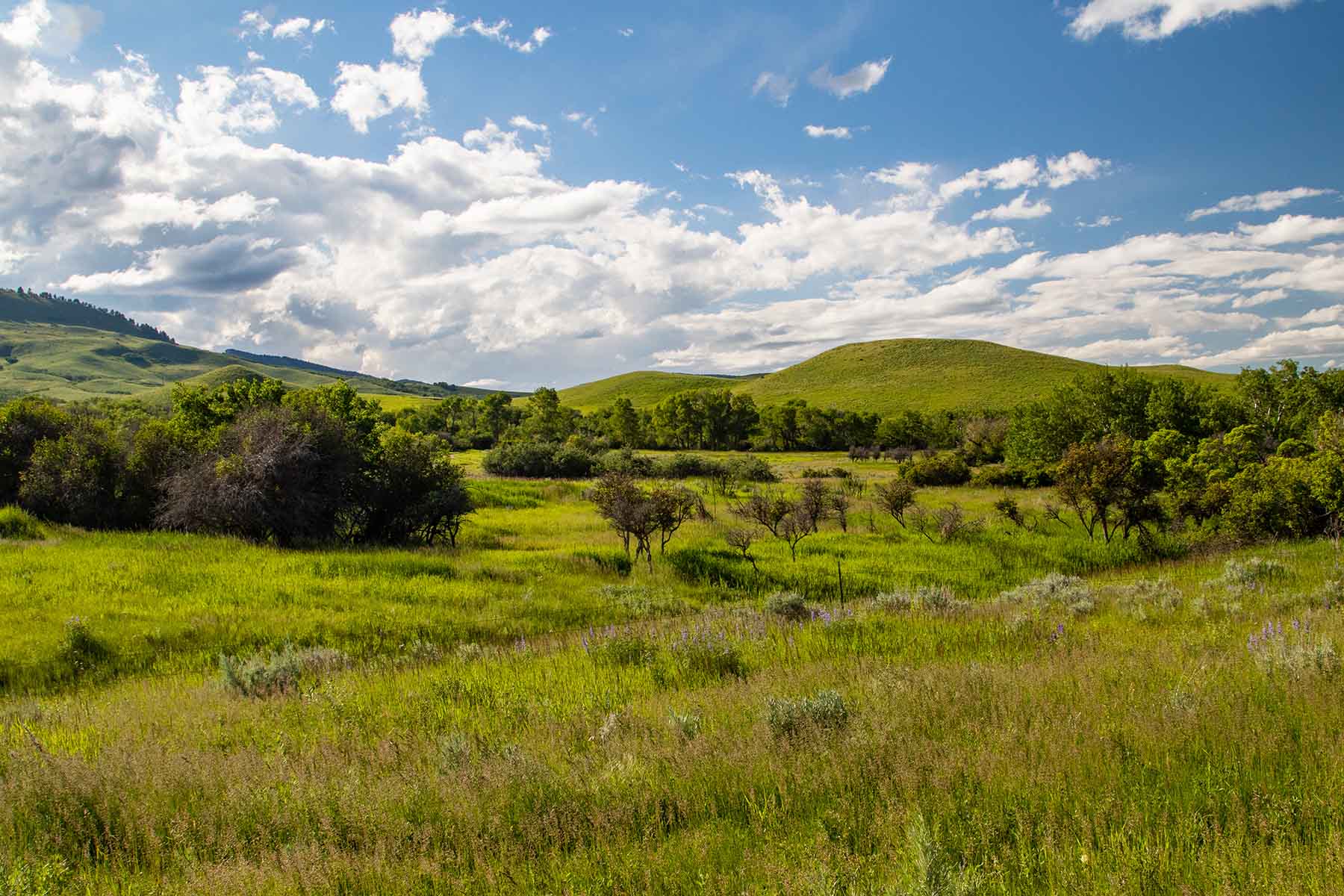 LEK Ranch property picture 34 of 46