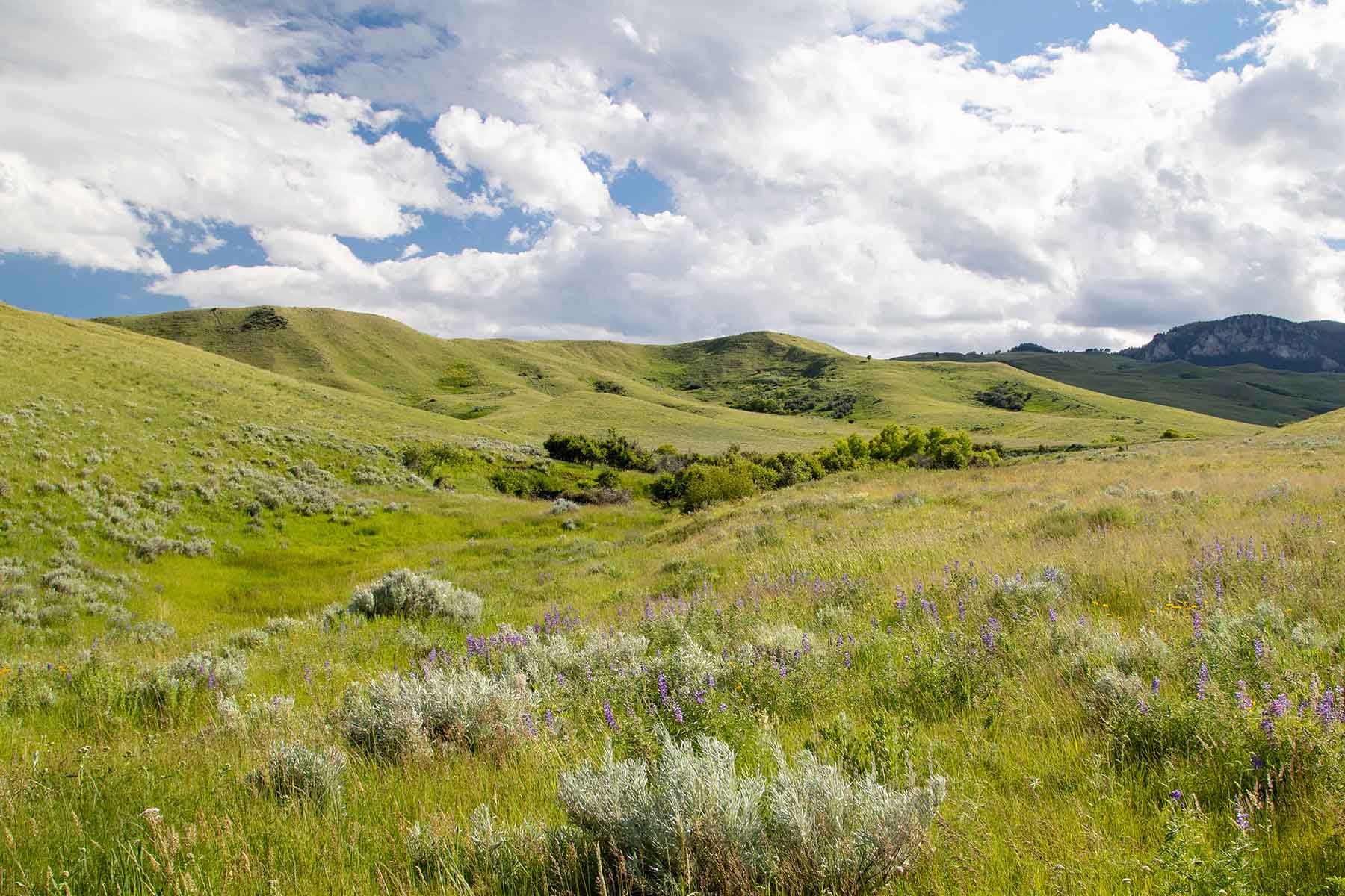 LEK Ranch property picture 38 of 46