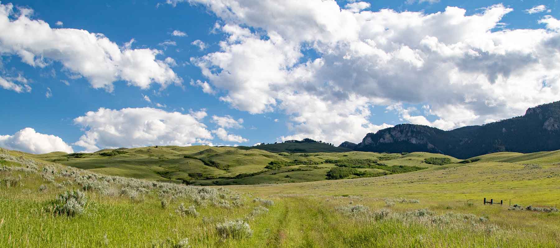 LEK Ranch property picture 2 of 46