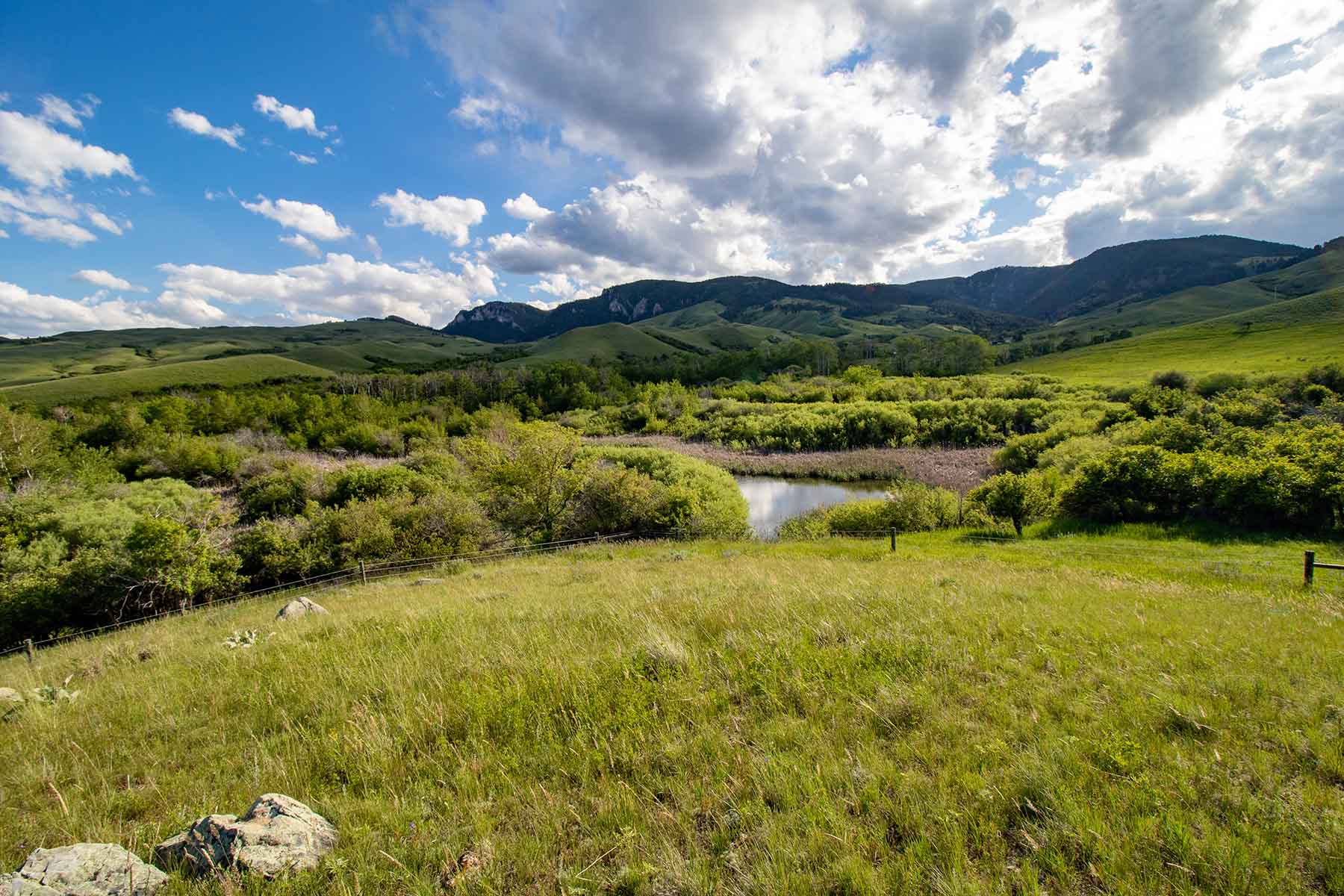 LEK Ranch property picture 5 of 46