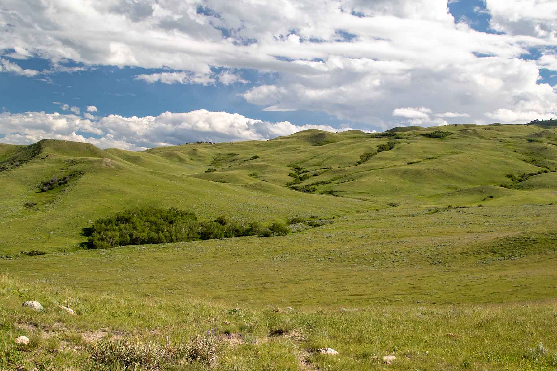 LEK Ranch property picture 40 of 46