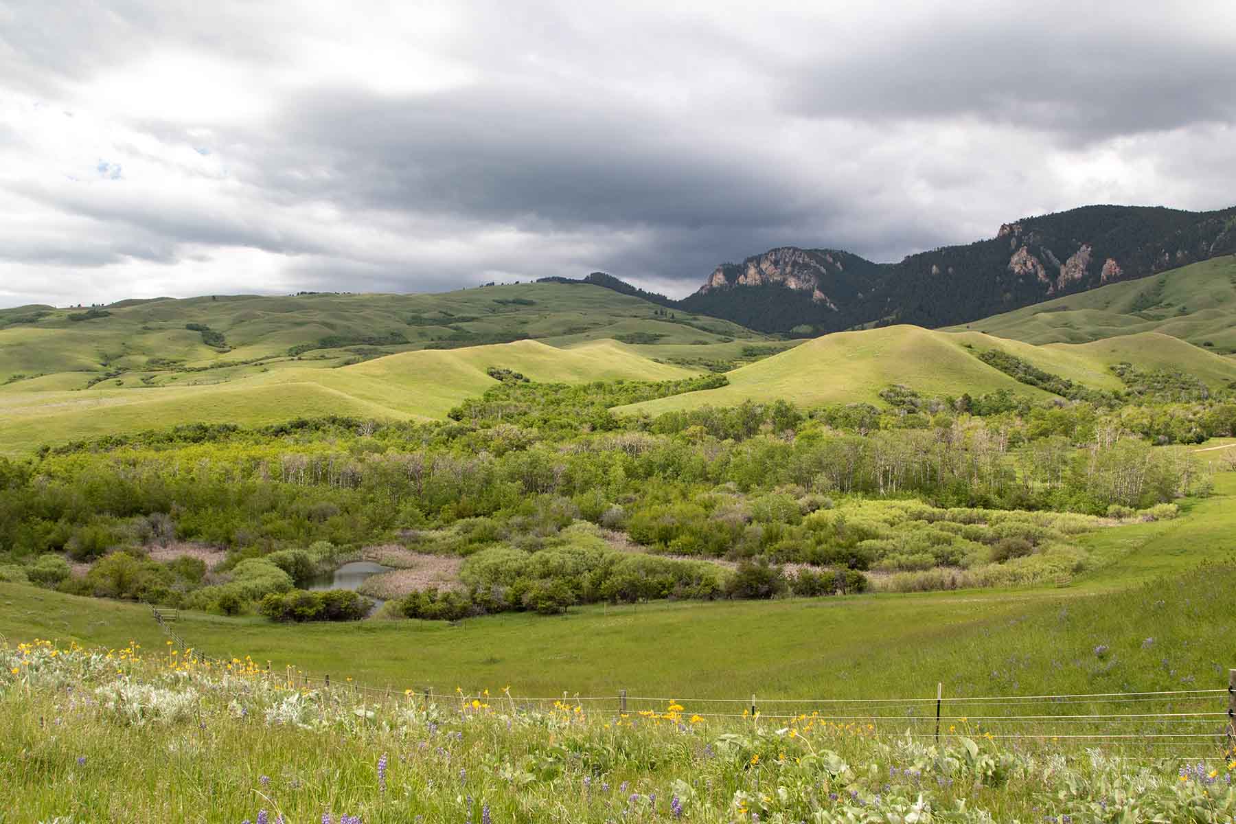 LEK Ranch property picture 3 of 46