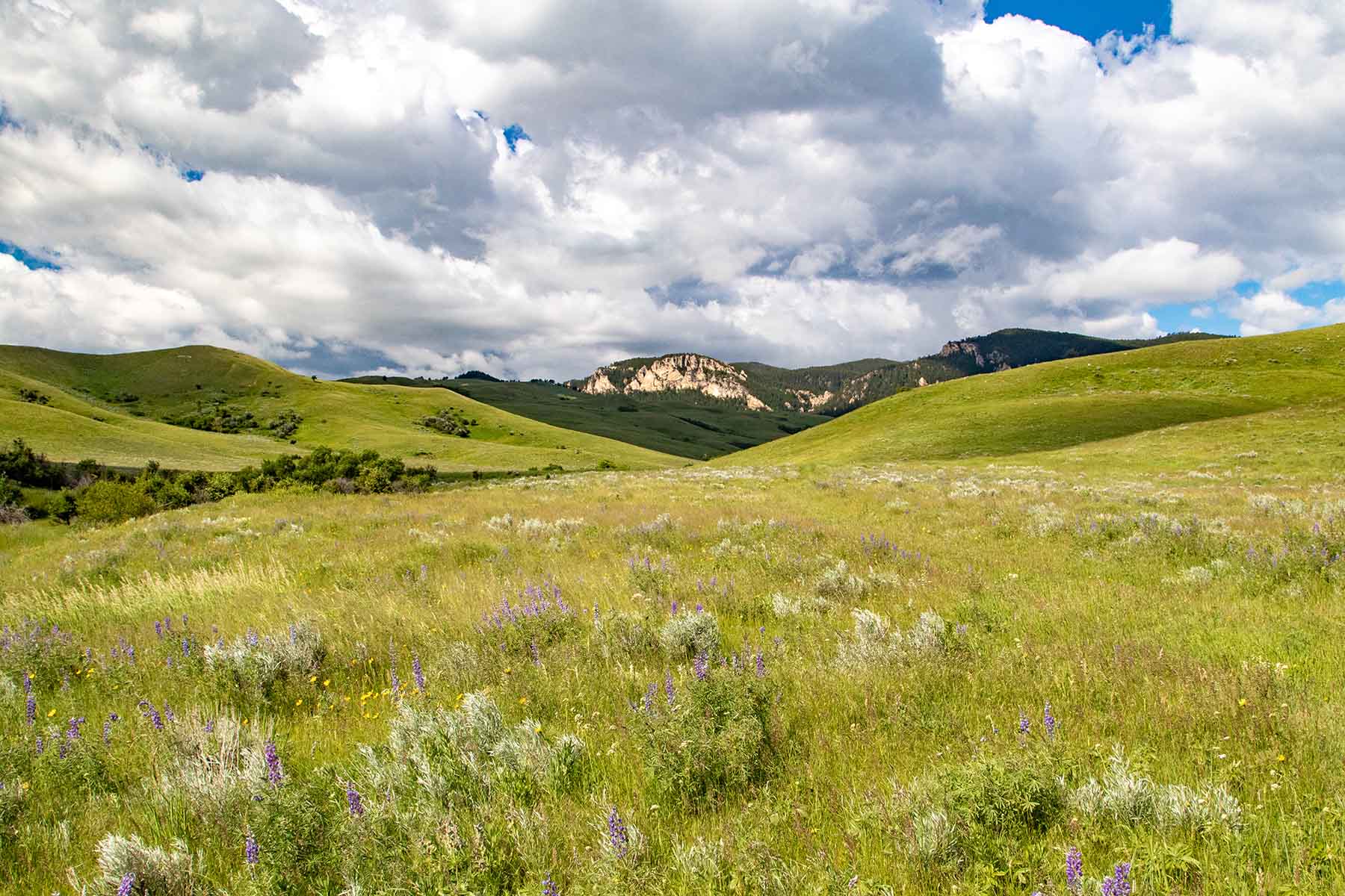 LEK Ranch property picture 35 of 46