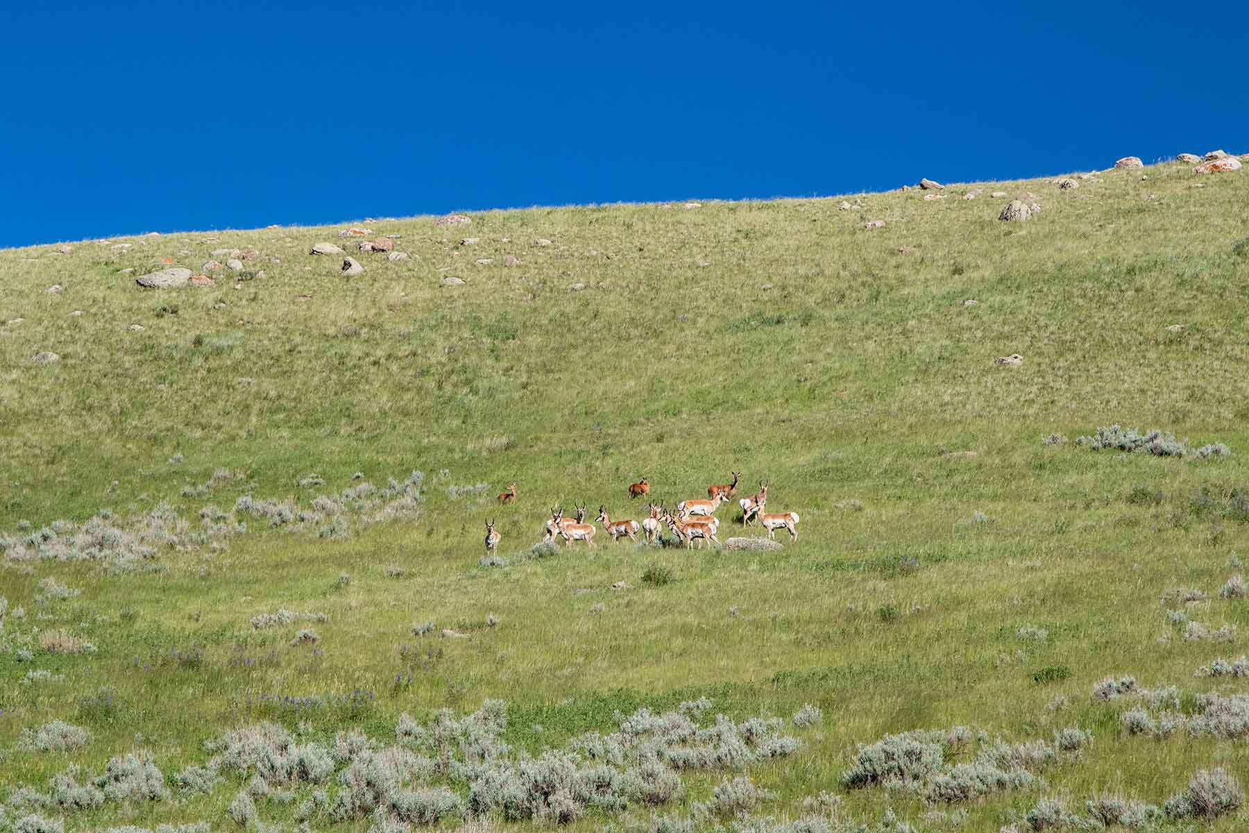 LEK Ranch property picture 25 of 46