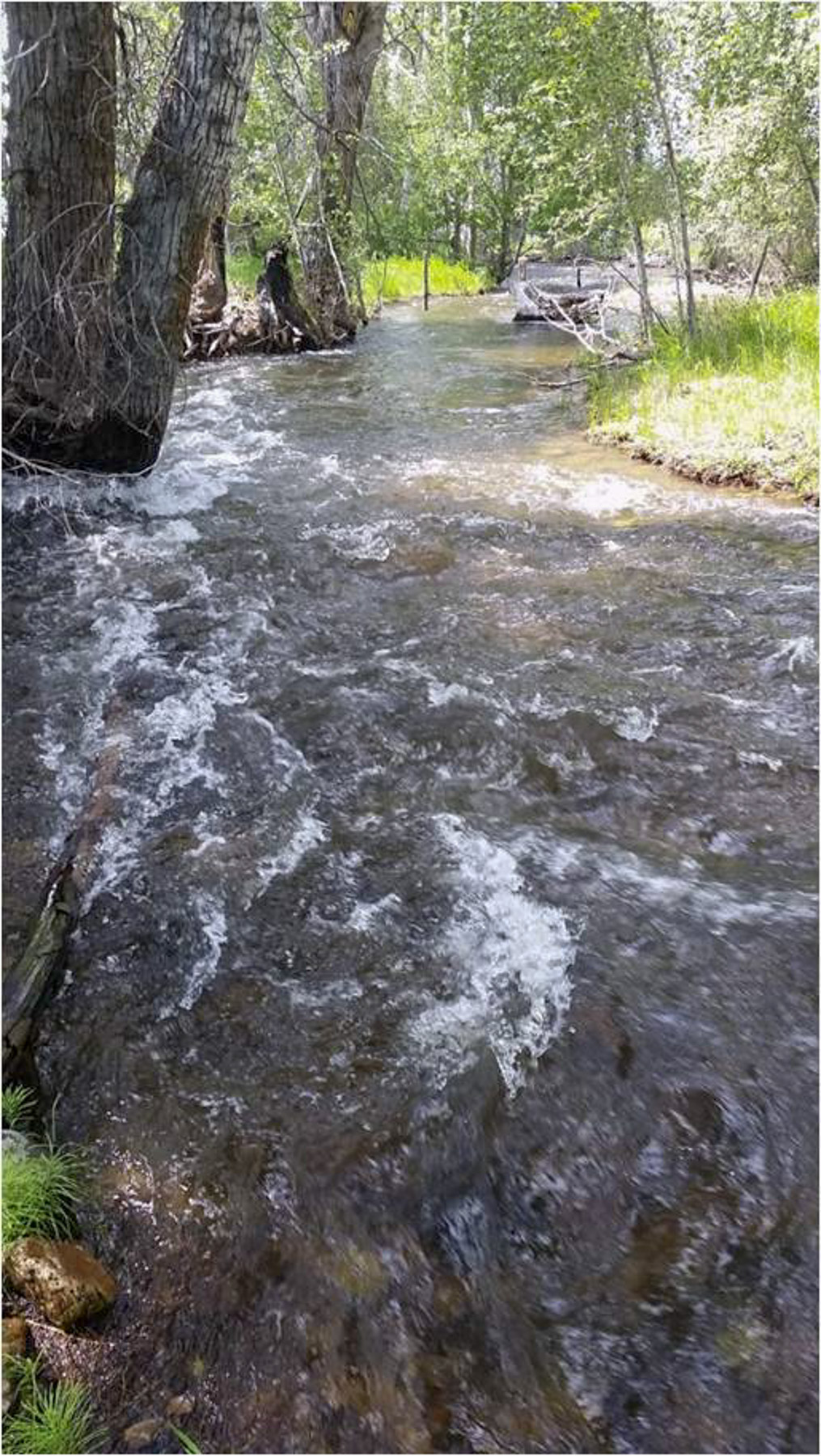 White Feather Ranch property picture 18 of 54