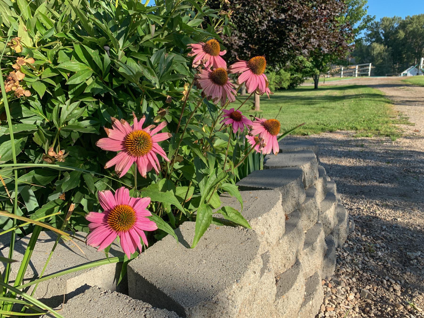 White Feather Ranch property picture 36 of 54